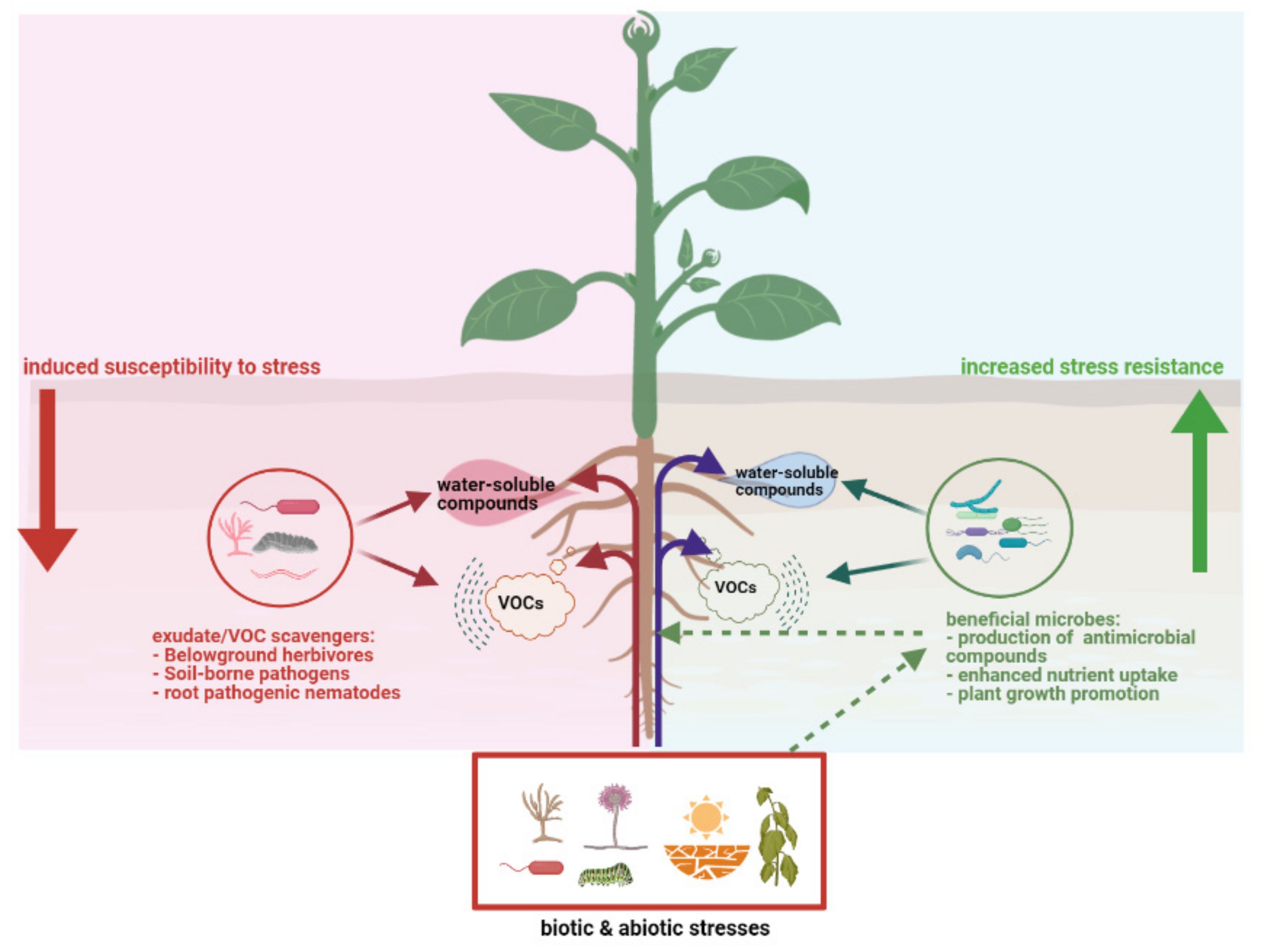 Metabolites 11 00357 g002