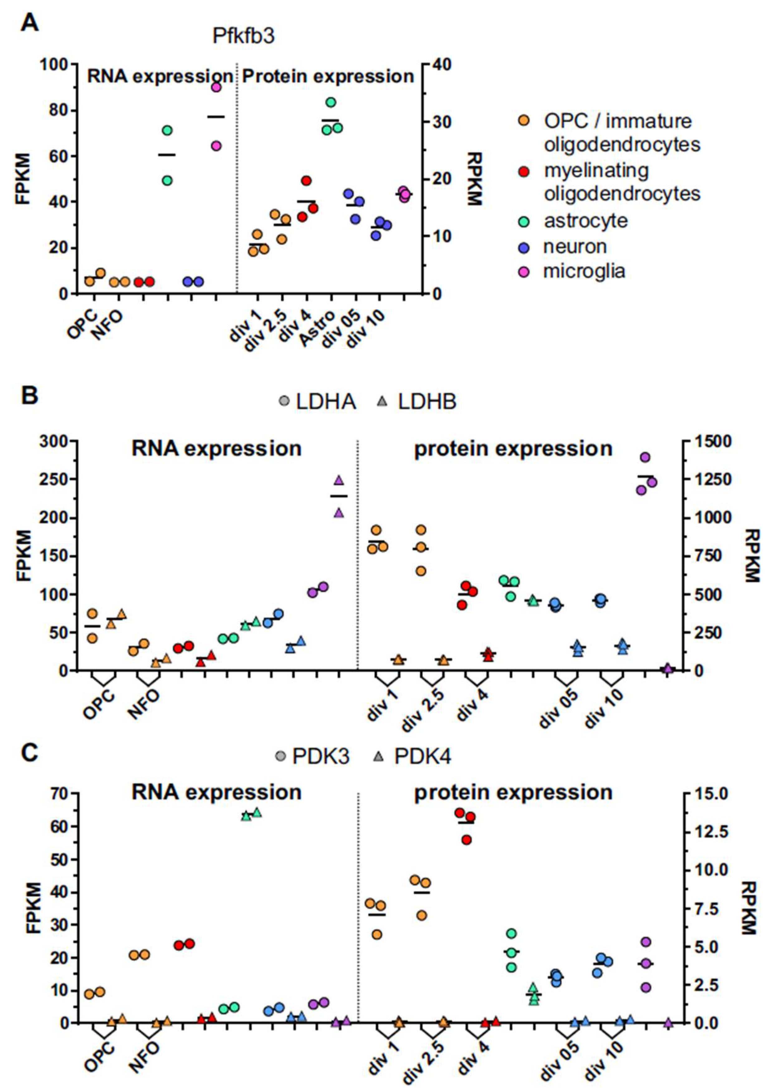 Metabolites 11 00359 g002 Metabolites 11 00359 g002