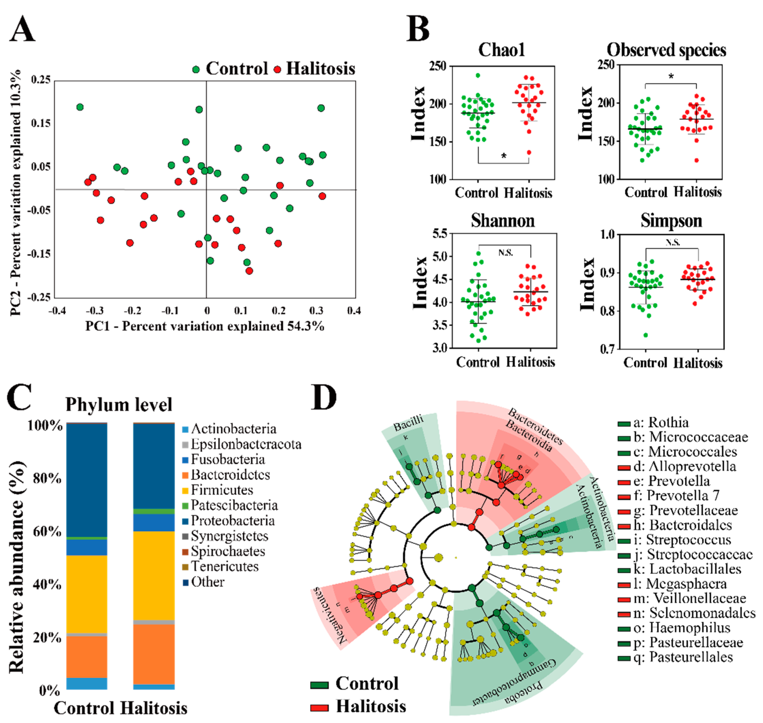 Metabolites 11 00362 g001 Metabolites 11 00362 g001