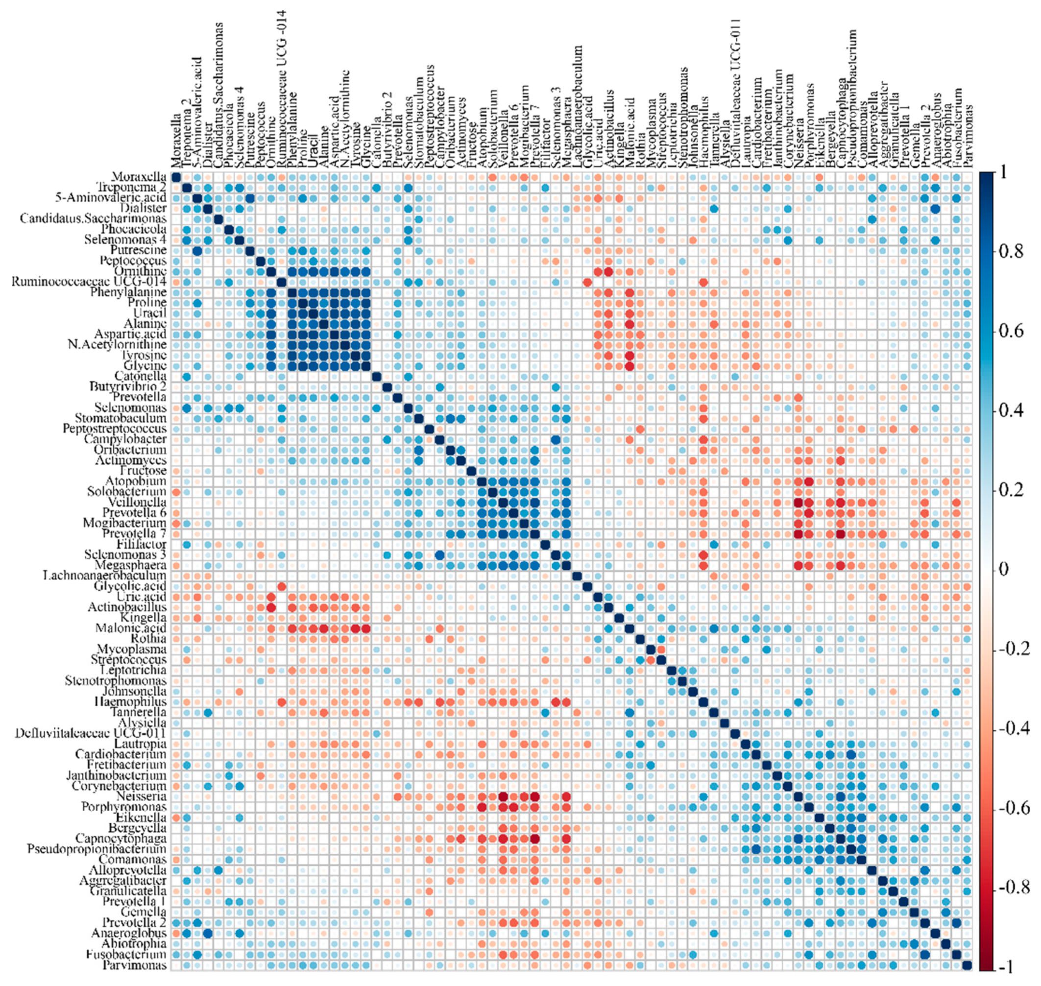 Metabolites 11 00362 g004 Metabolites 11 00362 g004