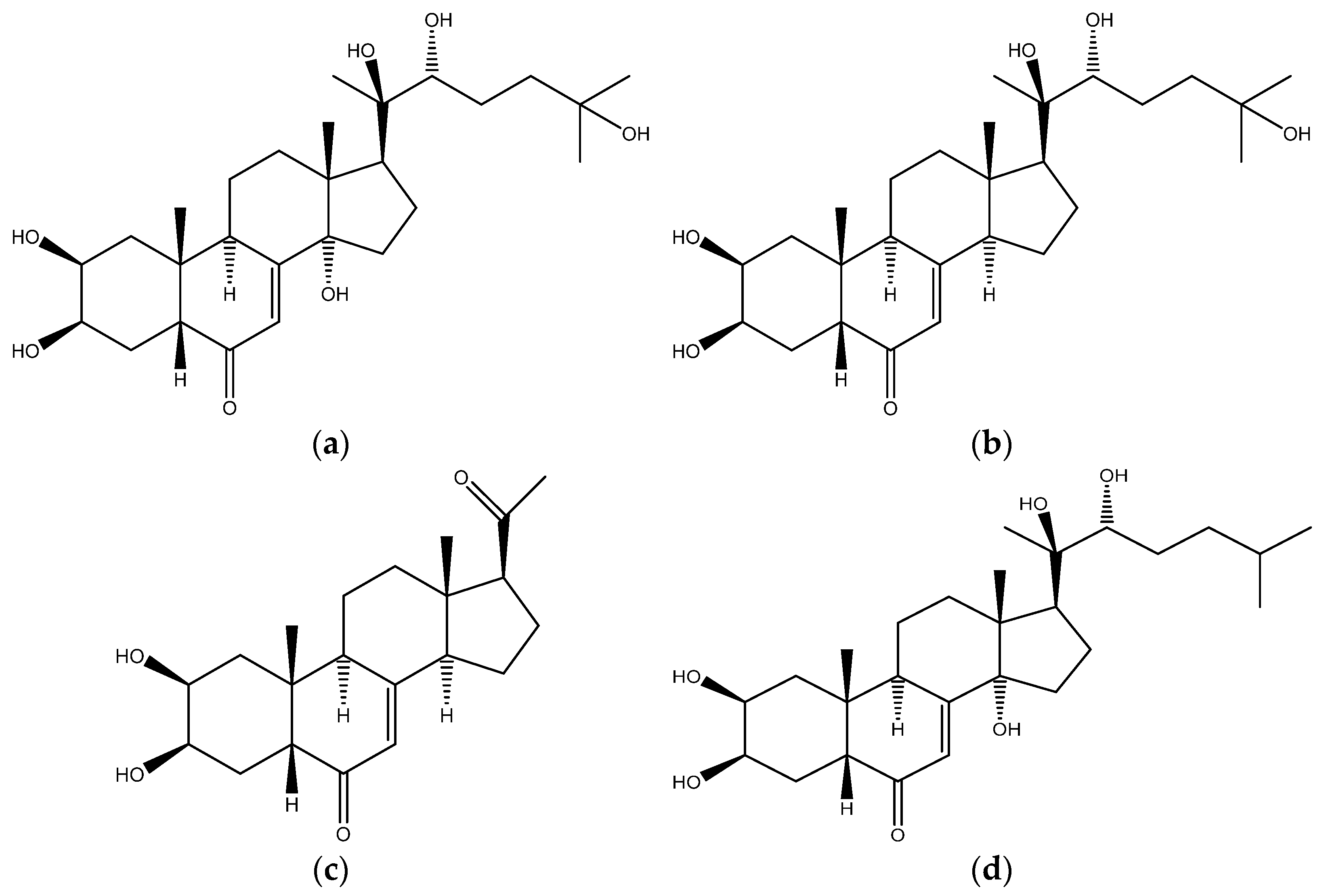 Metabolites 11 00366 g001