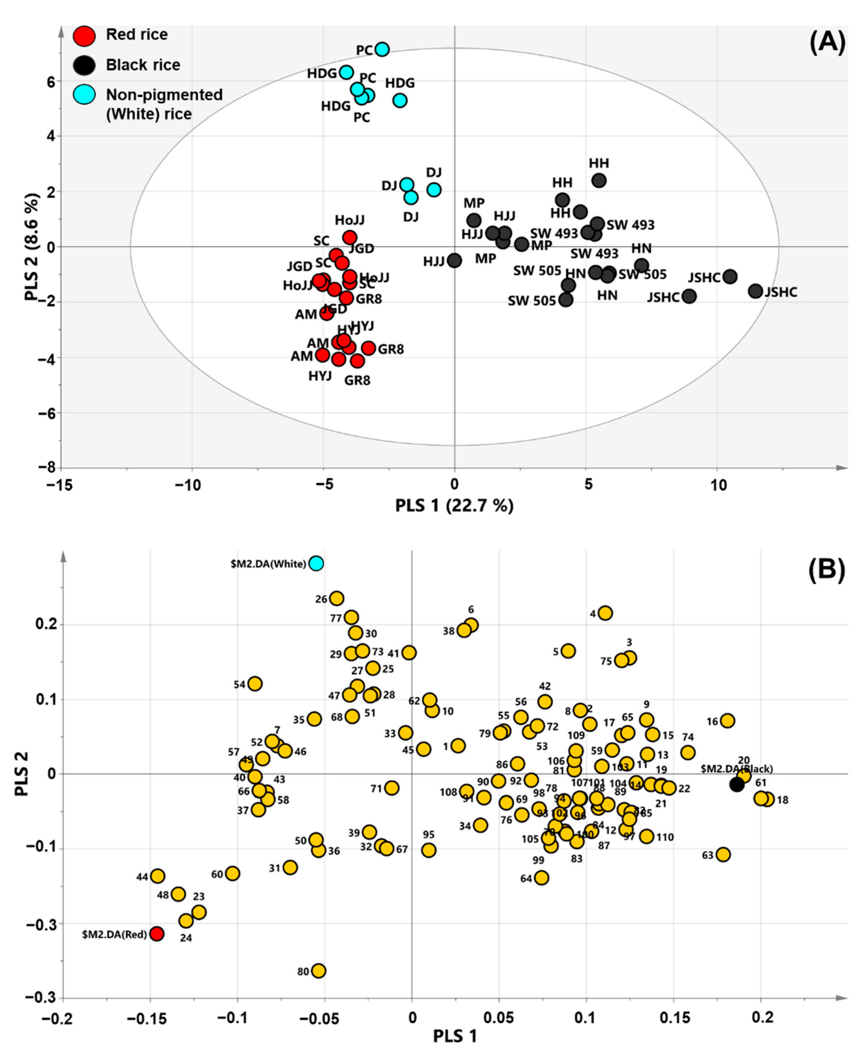 Metabolites 11 00367 g001