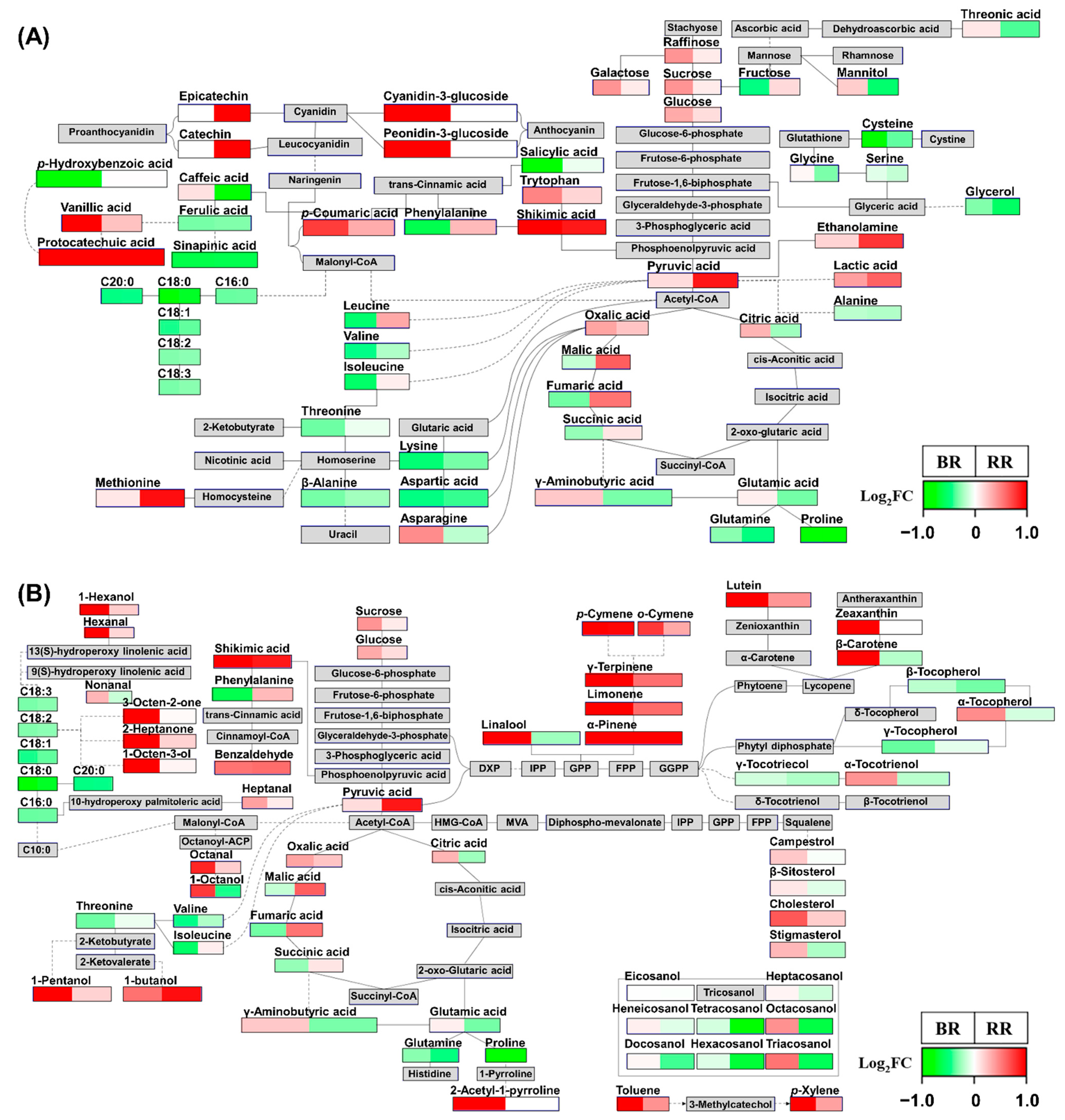 Metabolites 11 00367 g004