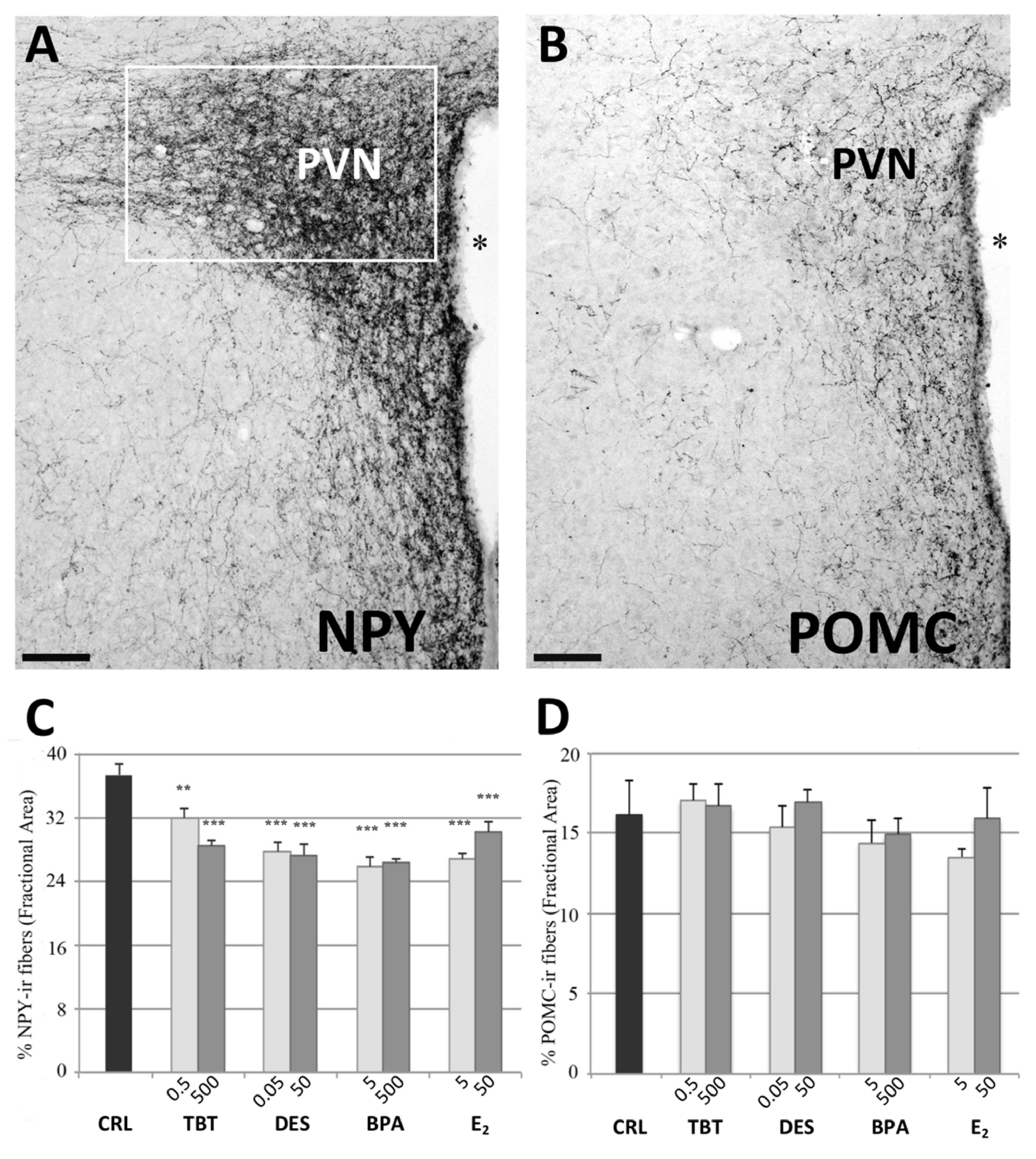 Metabolites 11 00368 g001 Metabolites 11 00368 g001