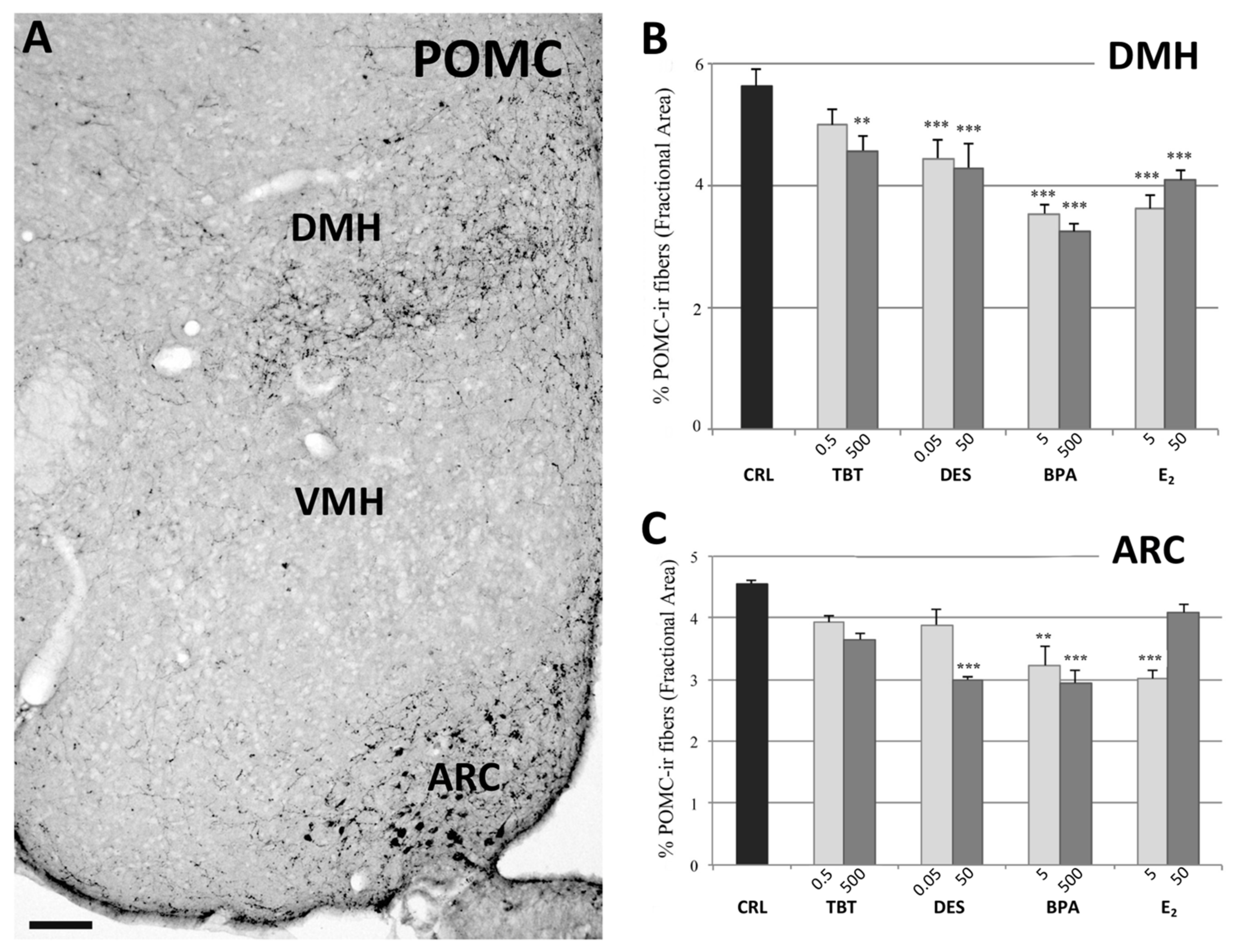 Metabolites 11 00368 g003 Metabolites 11 00368 g003