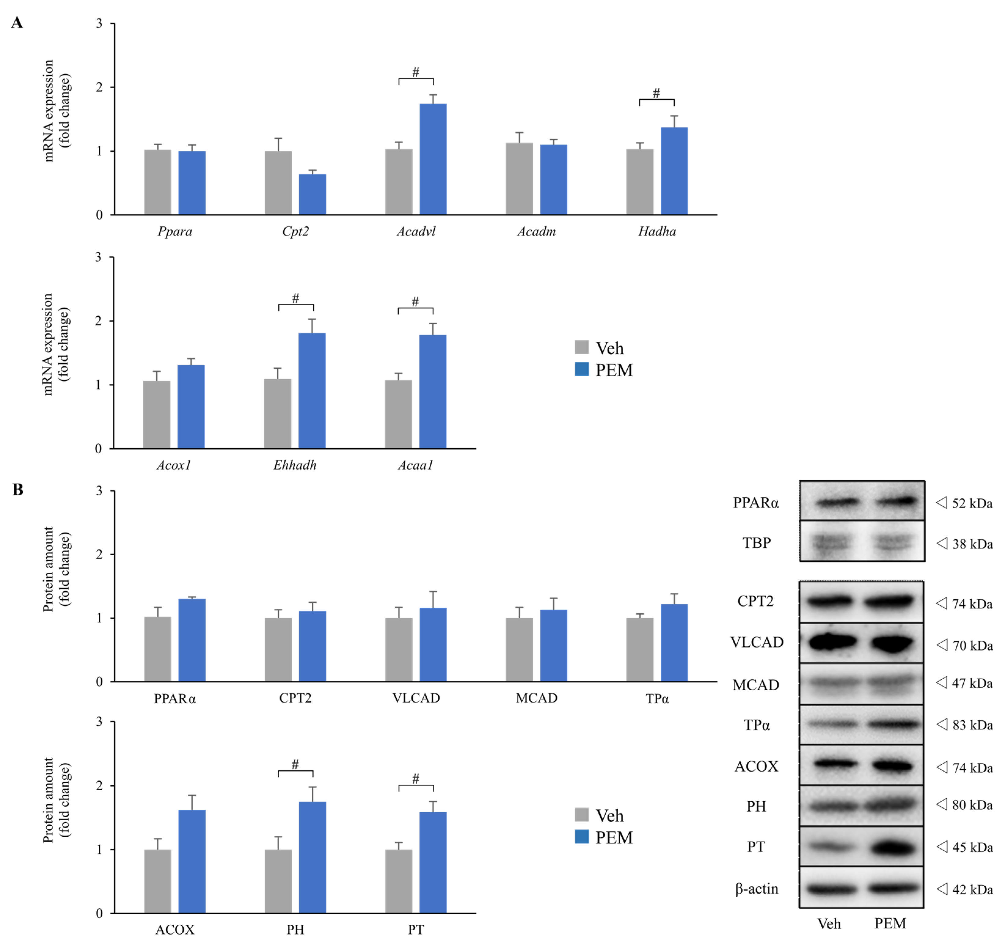 Metabolites 11 00372 g001