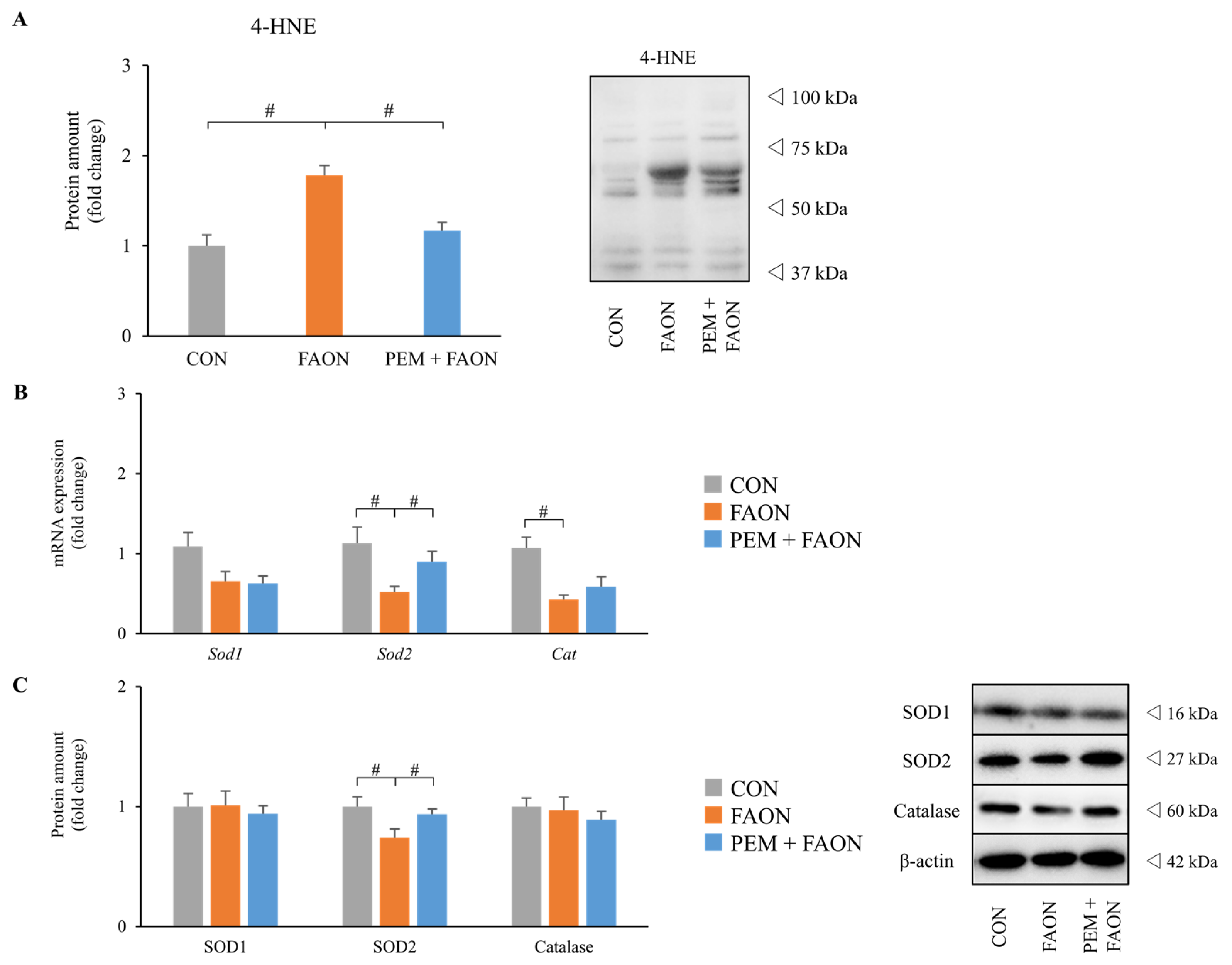 Metabolites 11 00372 g005