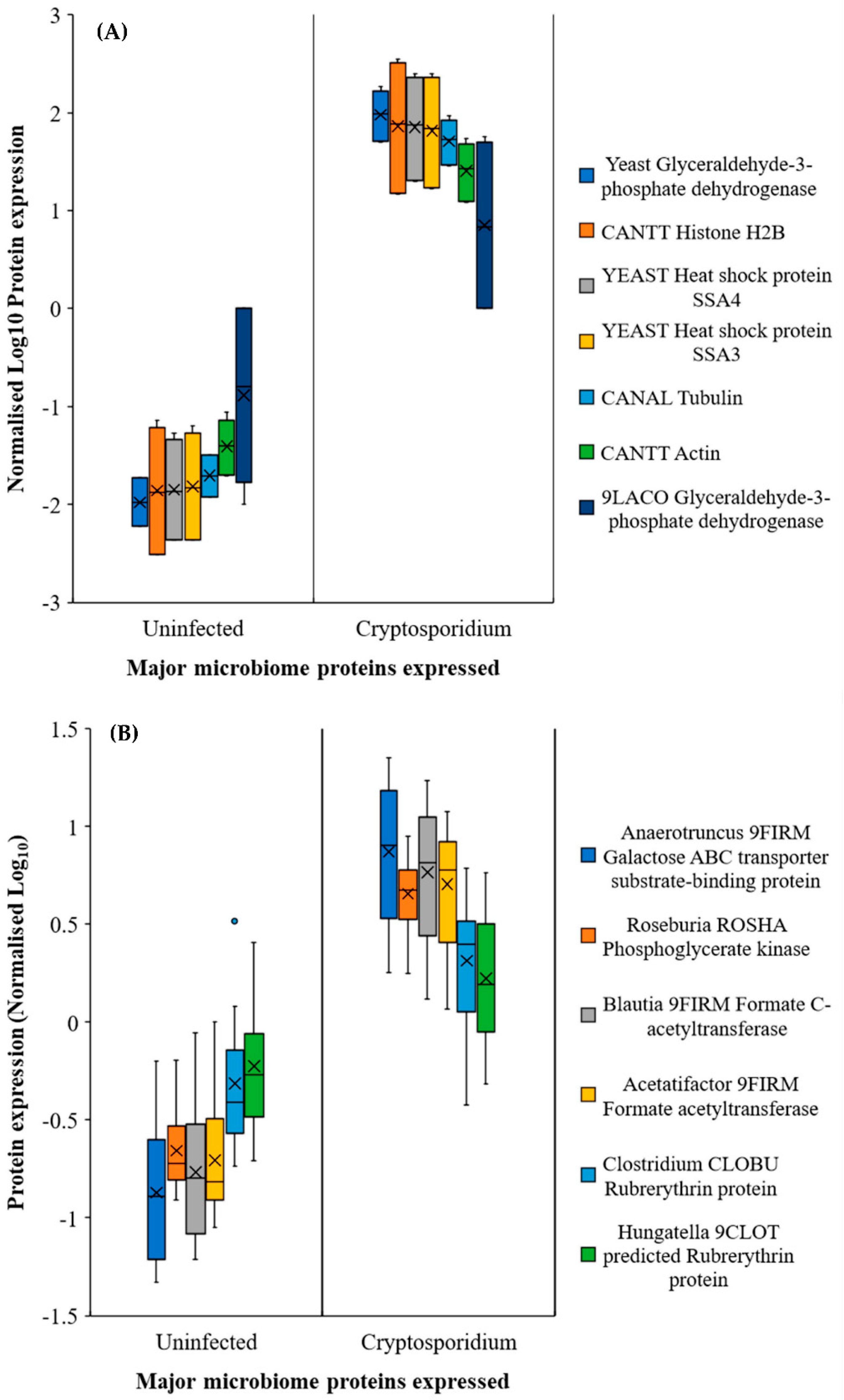 Metabolites 11 00380 g005