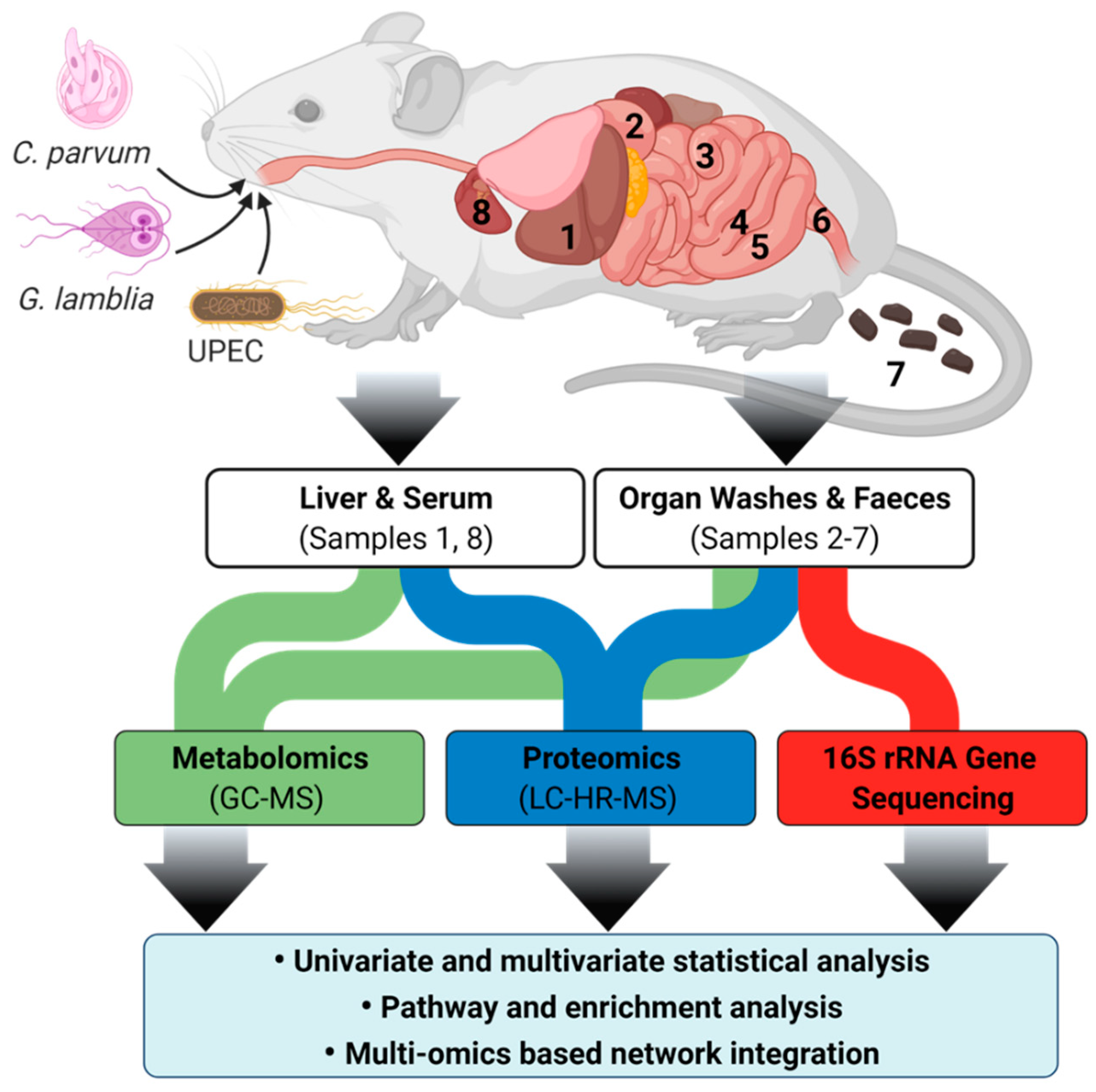 Metabolites 11 00380 g008