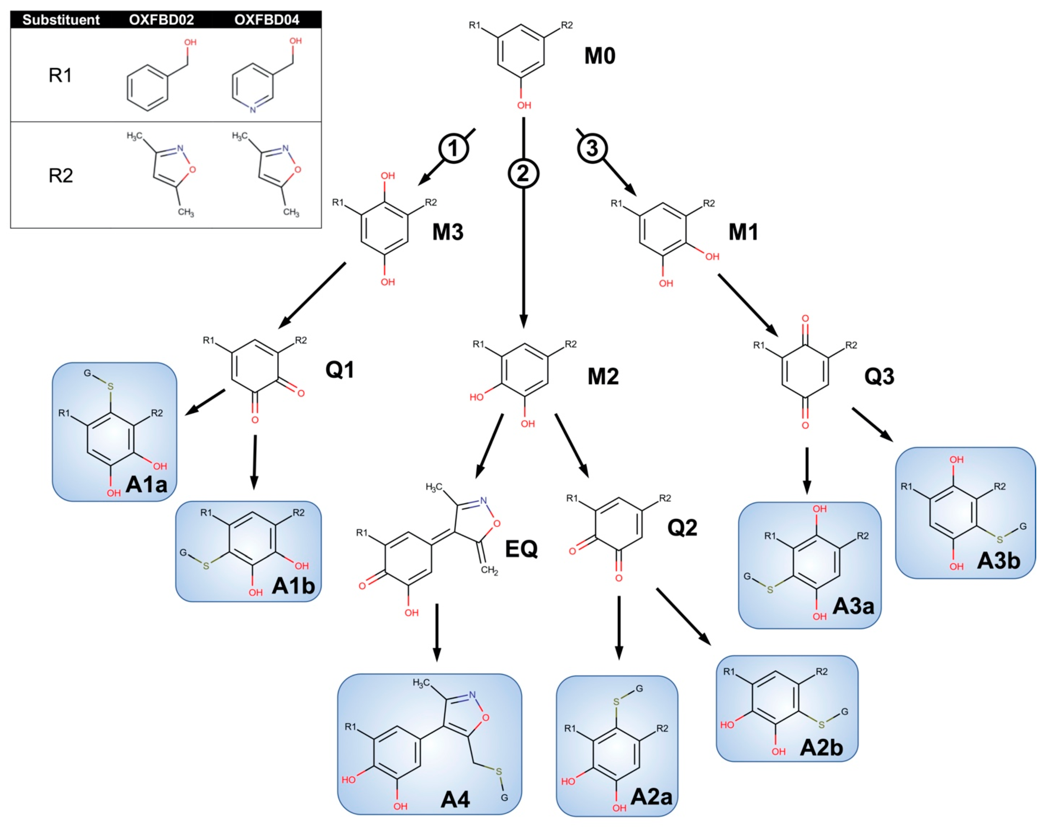 Metabolites 11 00390 g003