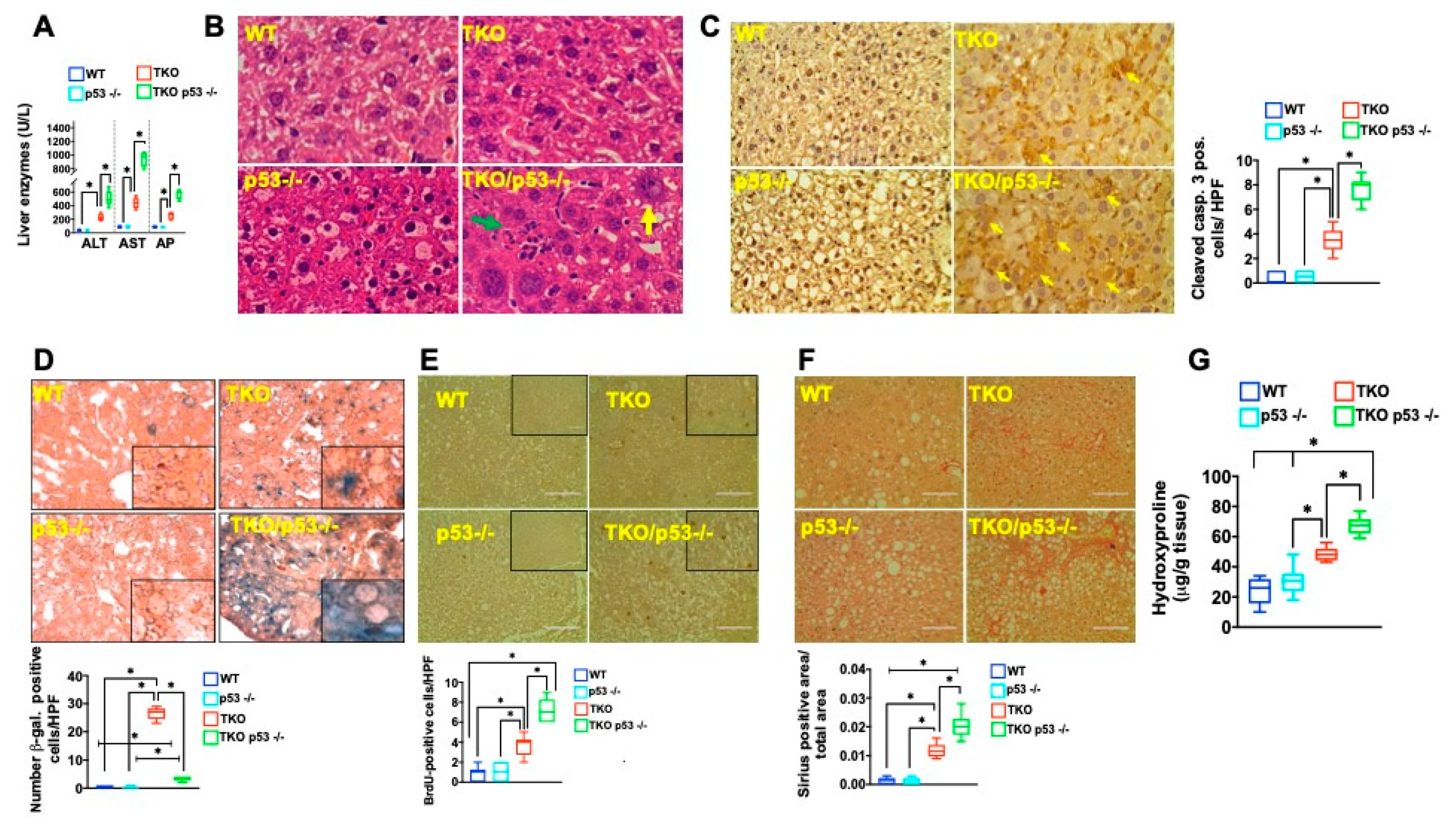 Metabolites 11 00394 g005 Metabolites 11 00394 g005