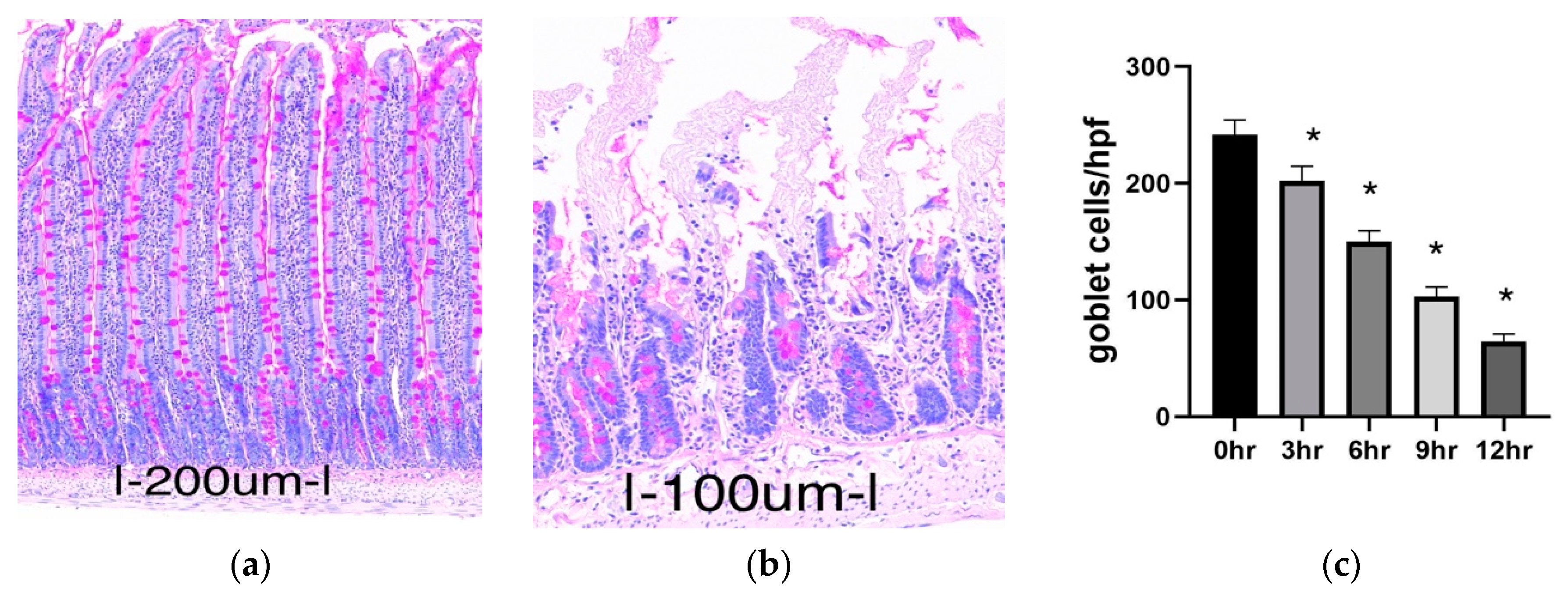 Metabolites 11 00396 g002 Metabolites 11 00396 g002