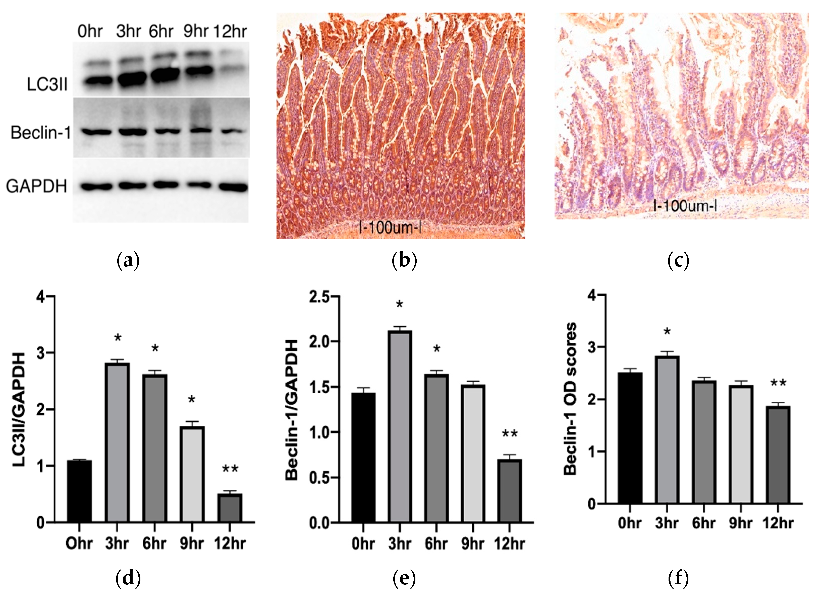 Metabolites 11 00396 g003 Metabolites 11 00396 g003