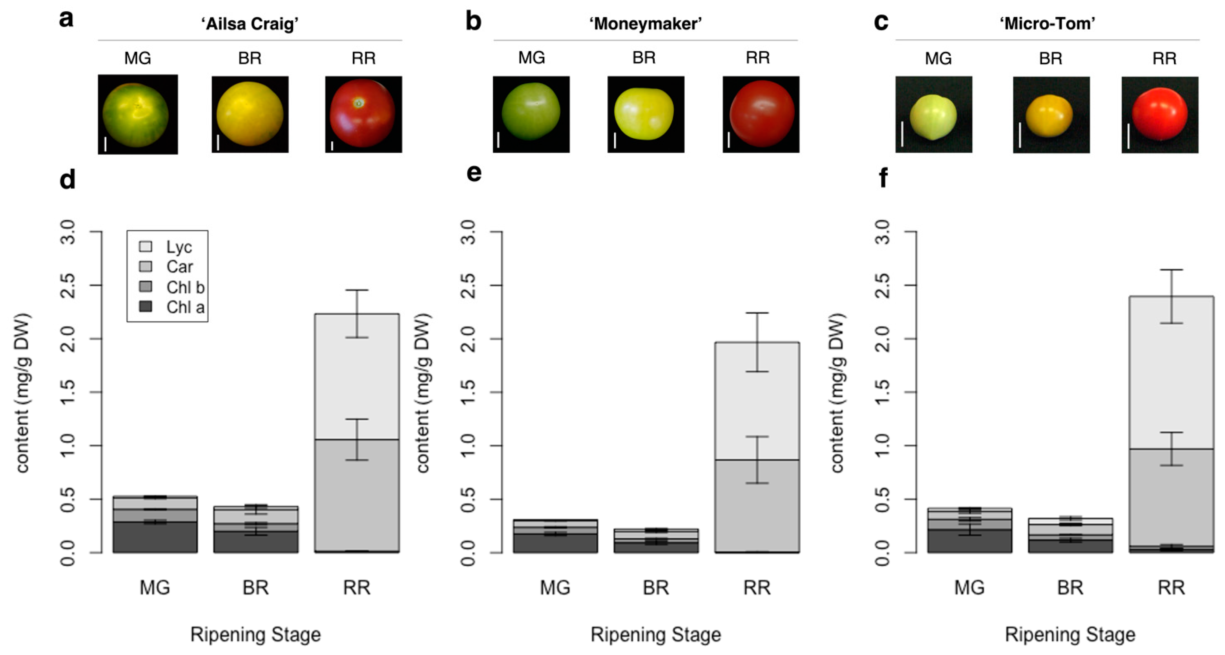 Metabolites 11 00398 g002