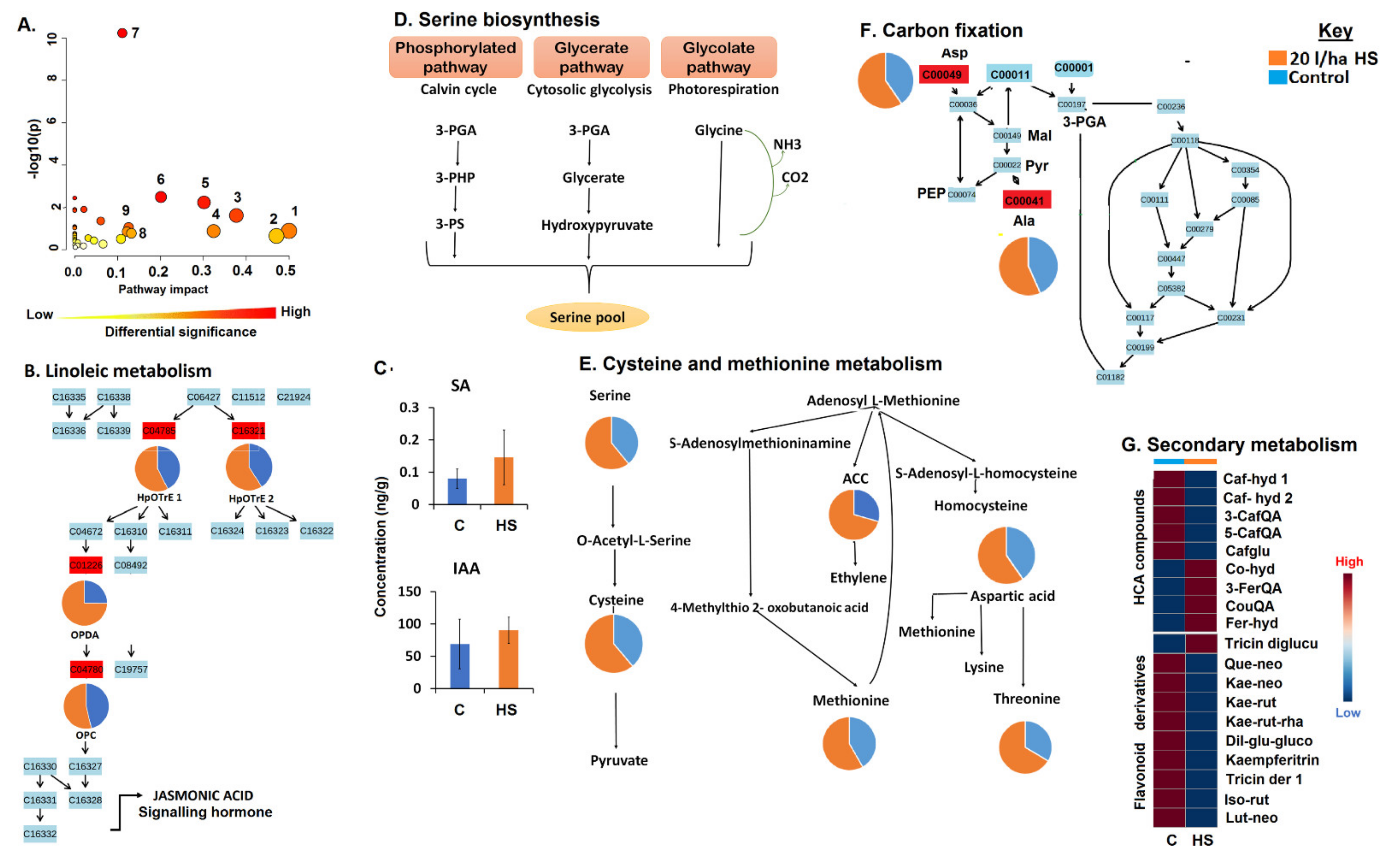 Metabolites 11 00403 g002