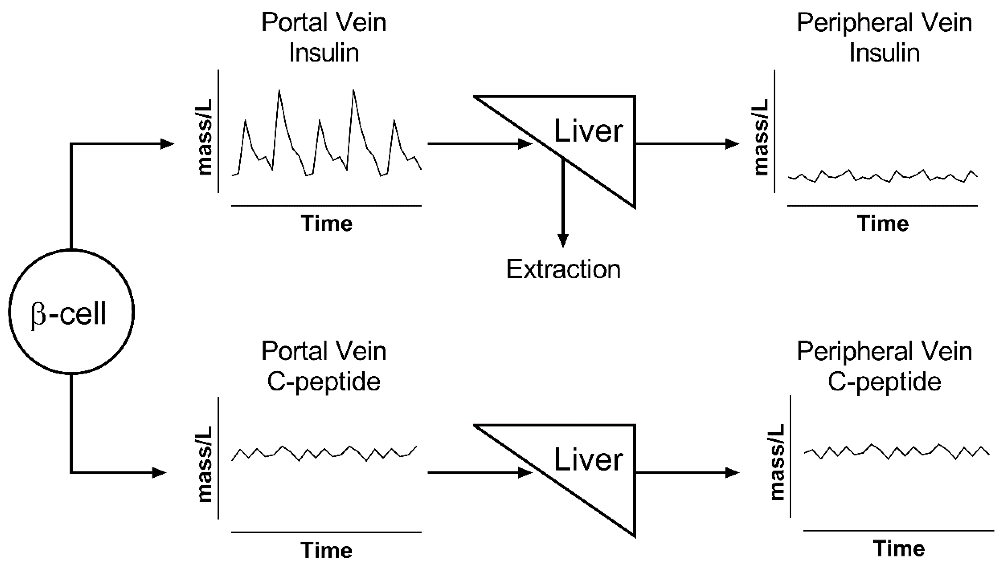 Metabolites 11 00409 g002 Metabolites 11 00409 g002