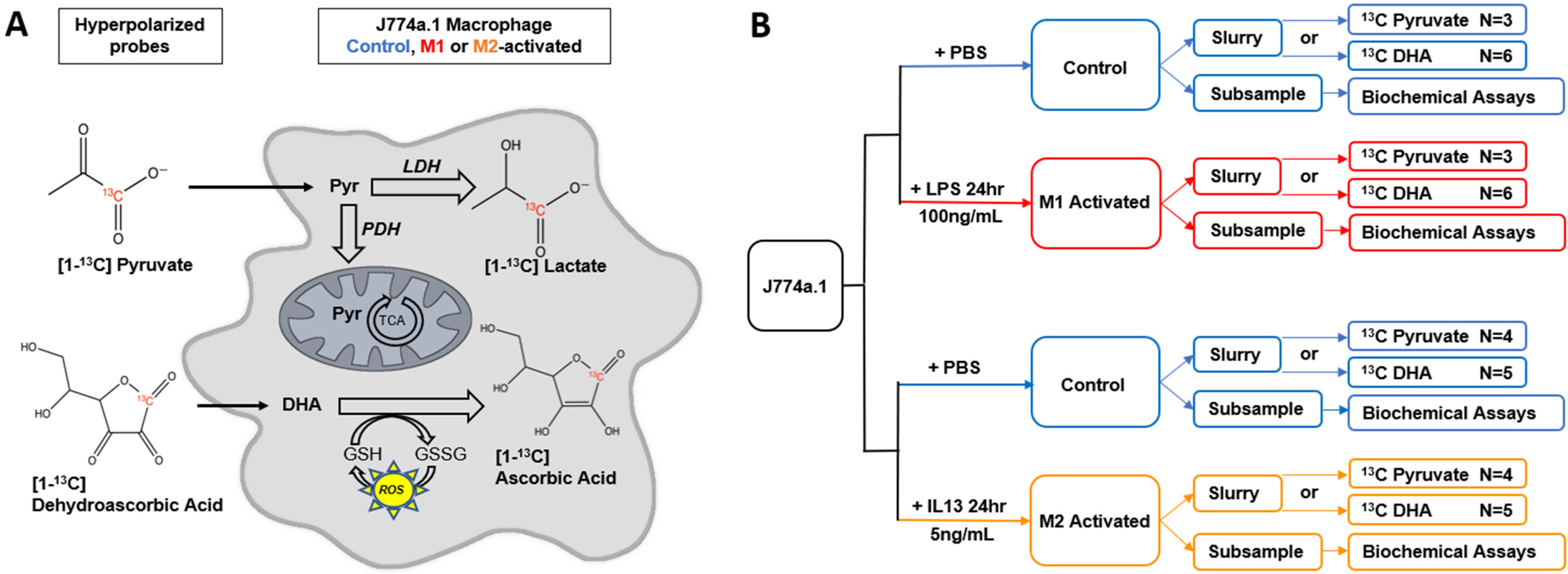 Metabolites 11 00410 g001 550