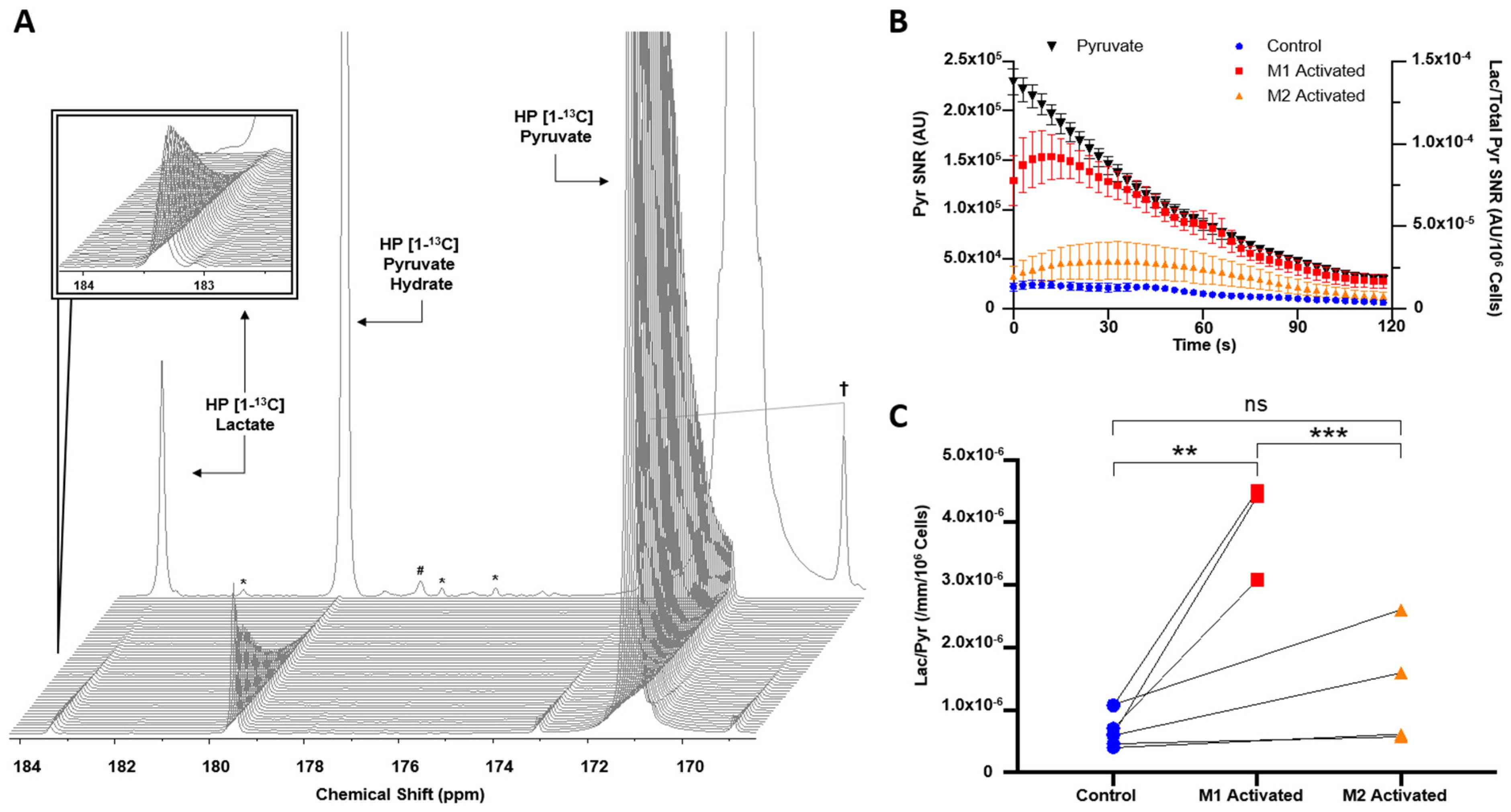 Metabolites 11 00410 g002 550