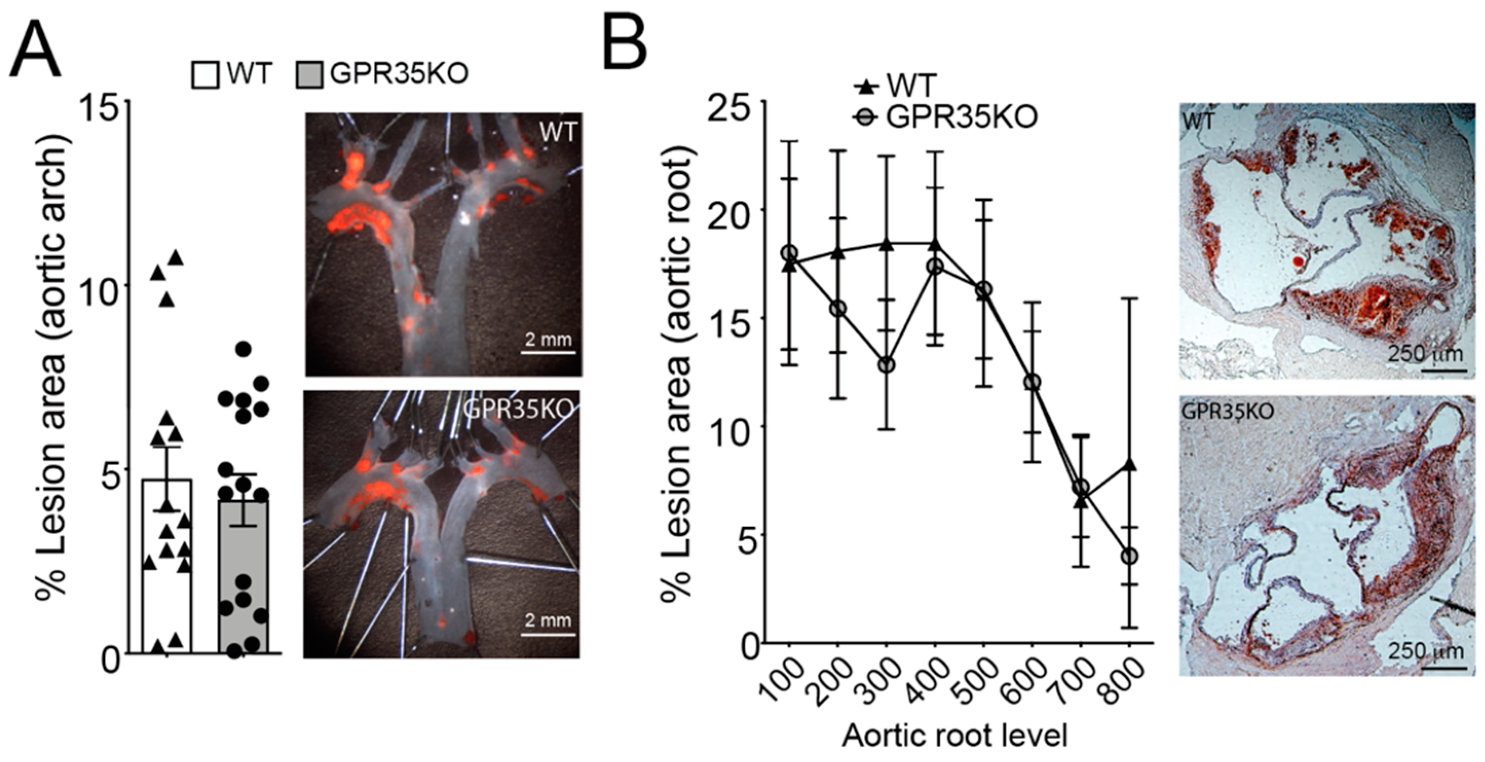Metabolites 11 00411 g002 550