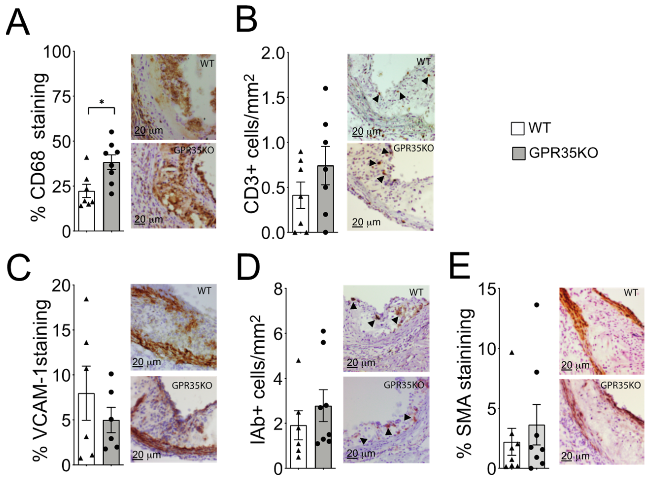 Metabolites 11 00411 g003 550