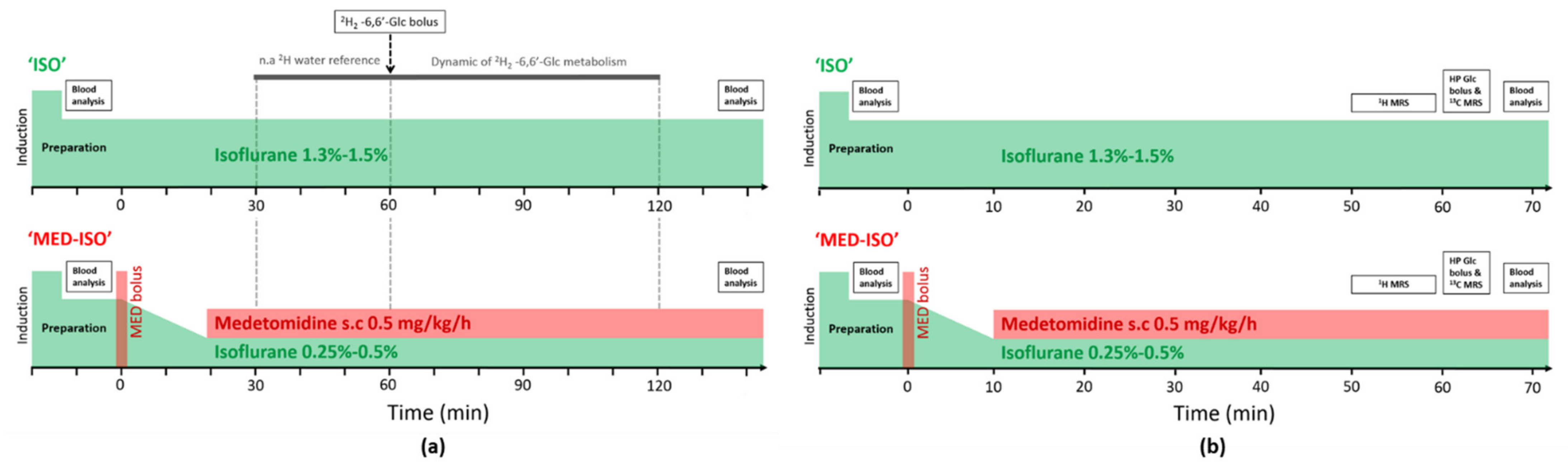 Metabolites 11 00413 g004 550