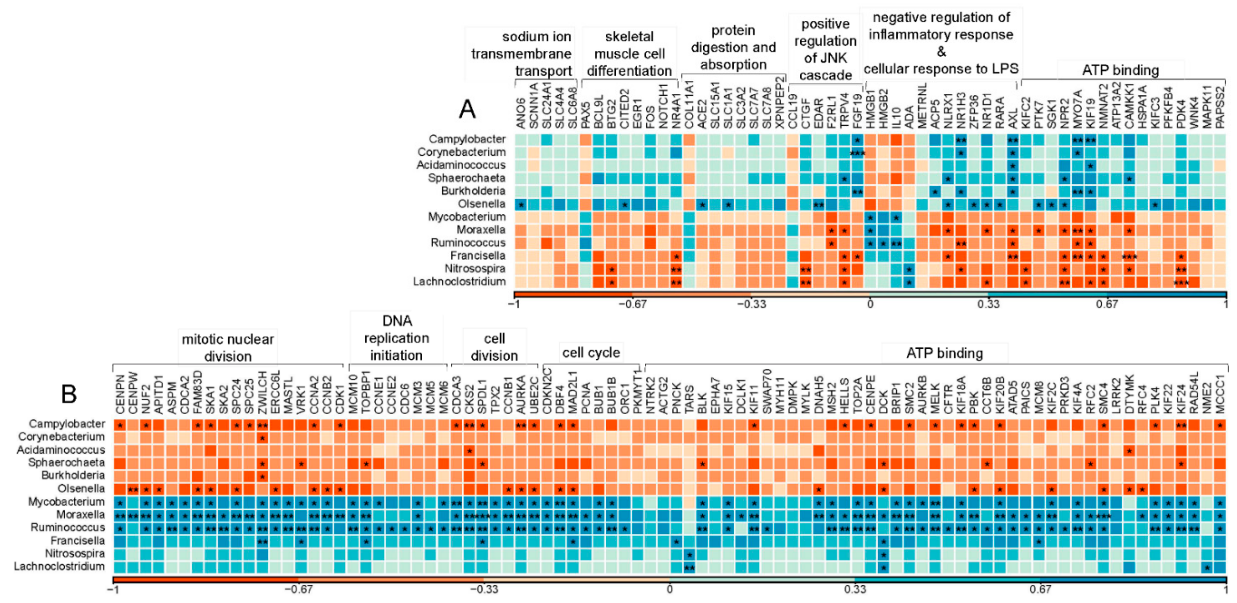 Metabolites 11 00414 g004