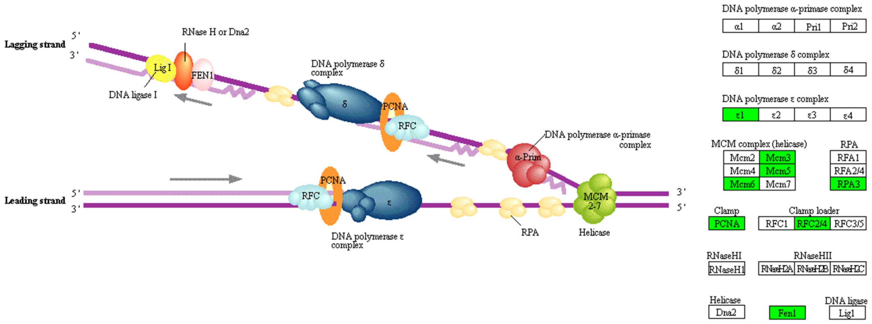 Metabolites 11 00414 g005