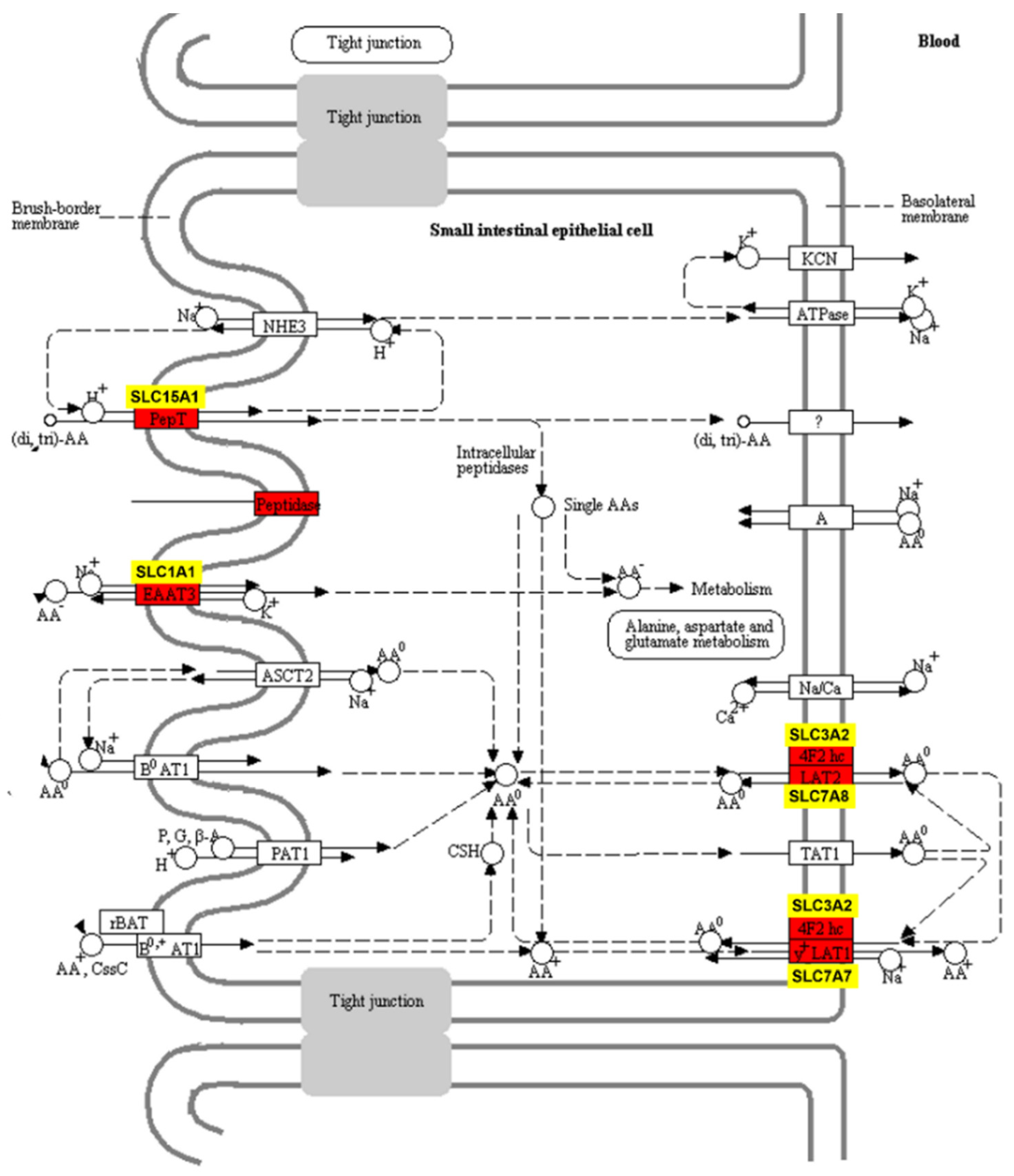Metabolites 11 00414 g006
