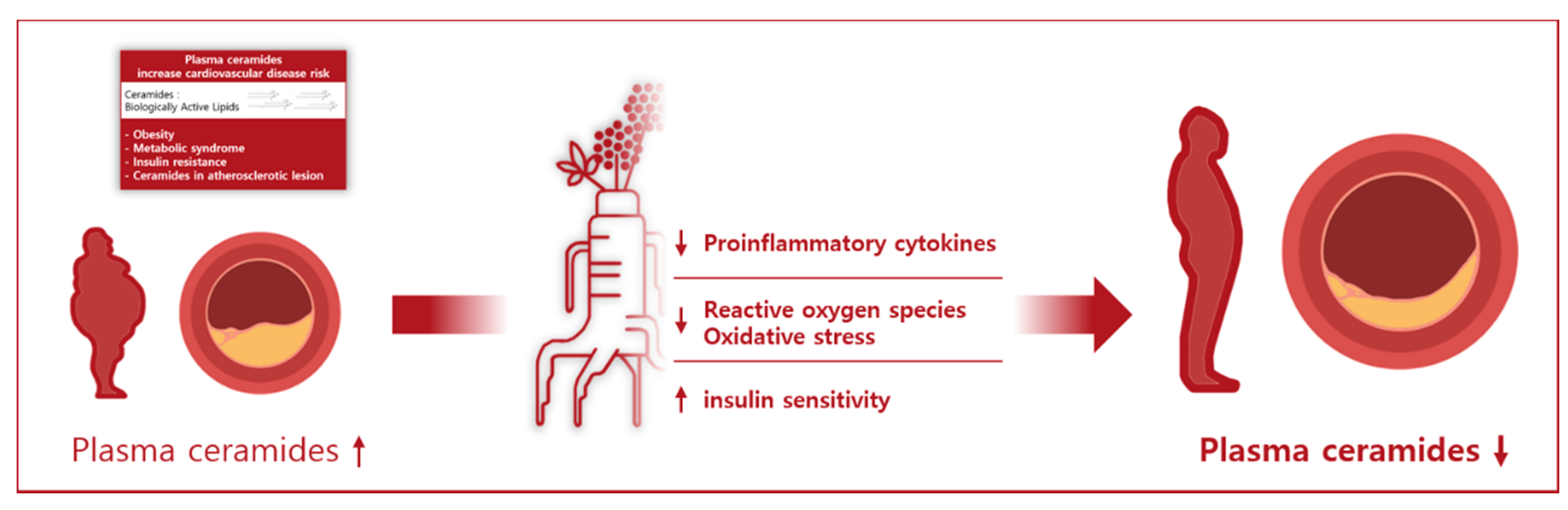 Metabolites 11 00417 g002 Metabolites 11 00417 g002