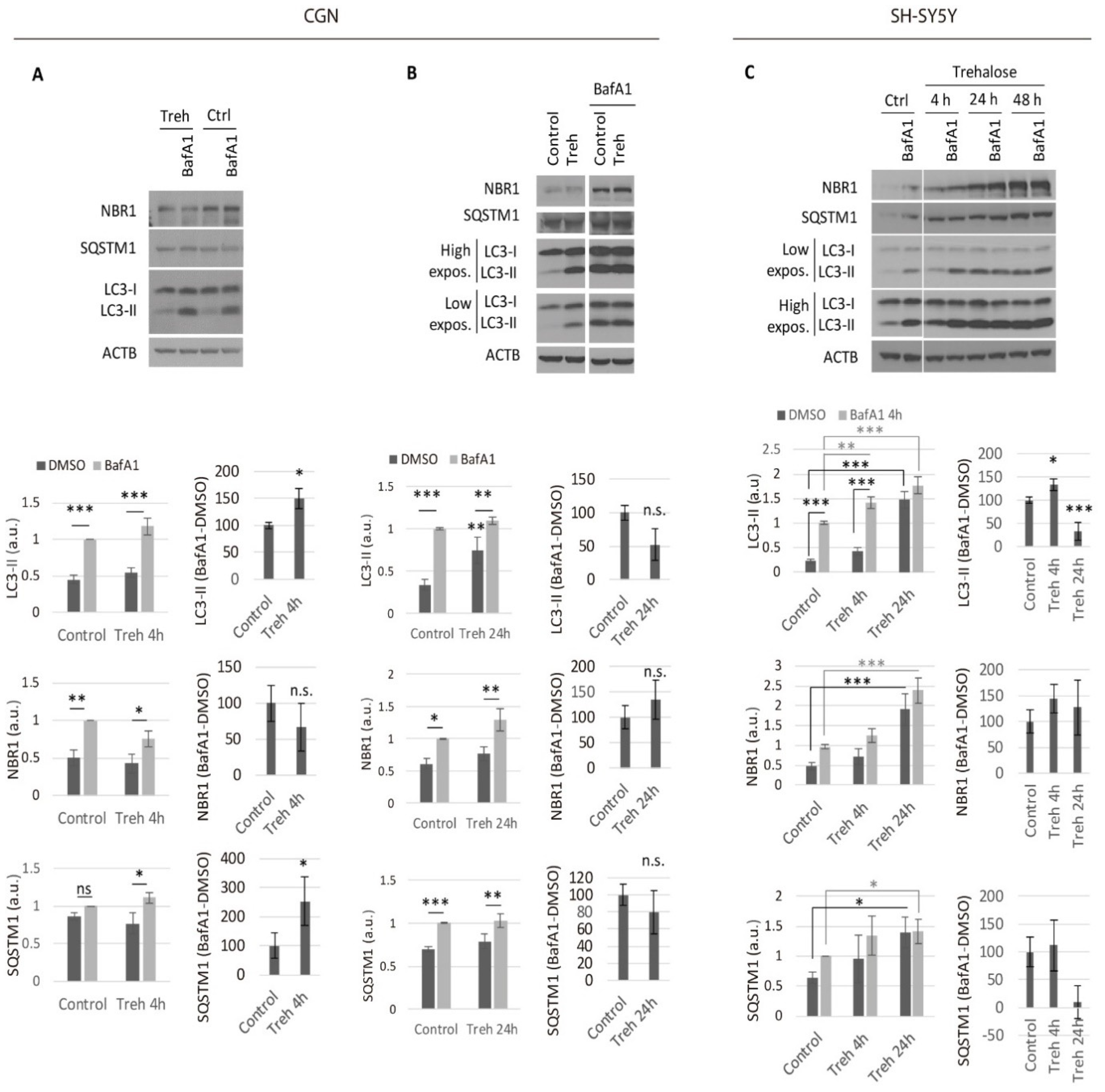 Metabolites 11 00421 g001 Metabolites 11 00421 g001
