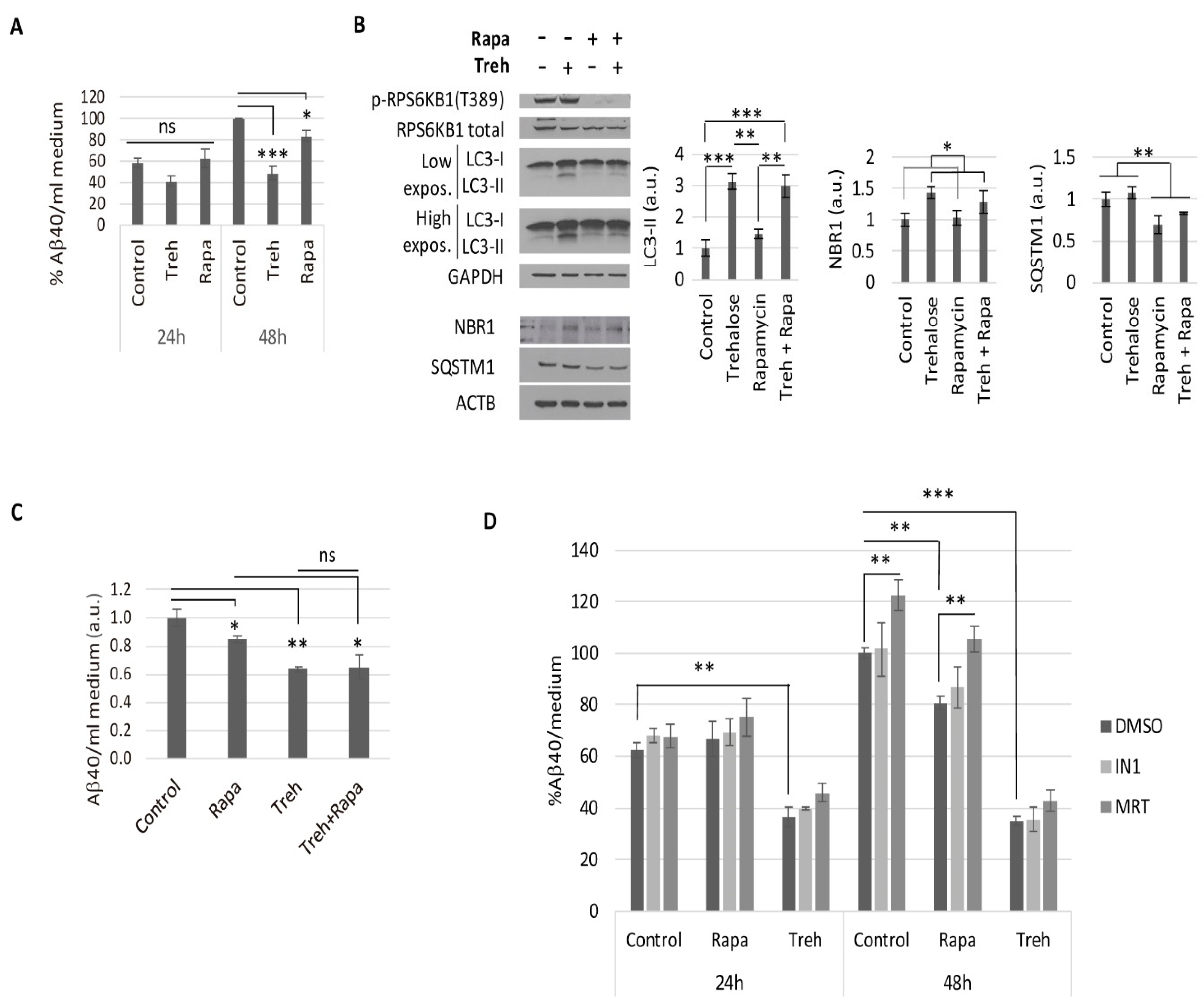 Metabolites 11 00421 g002 Metabolites 11 00421 g002