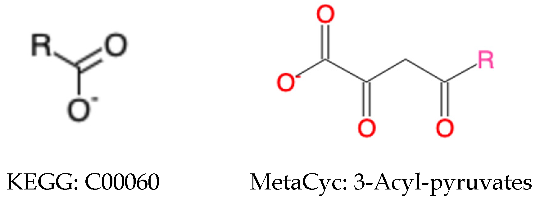 Metabolites 11 00431 g002 Metabolites 11 00431 g002