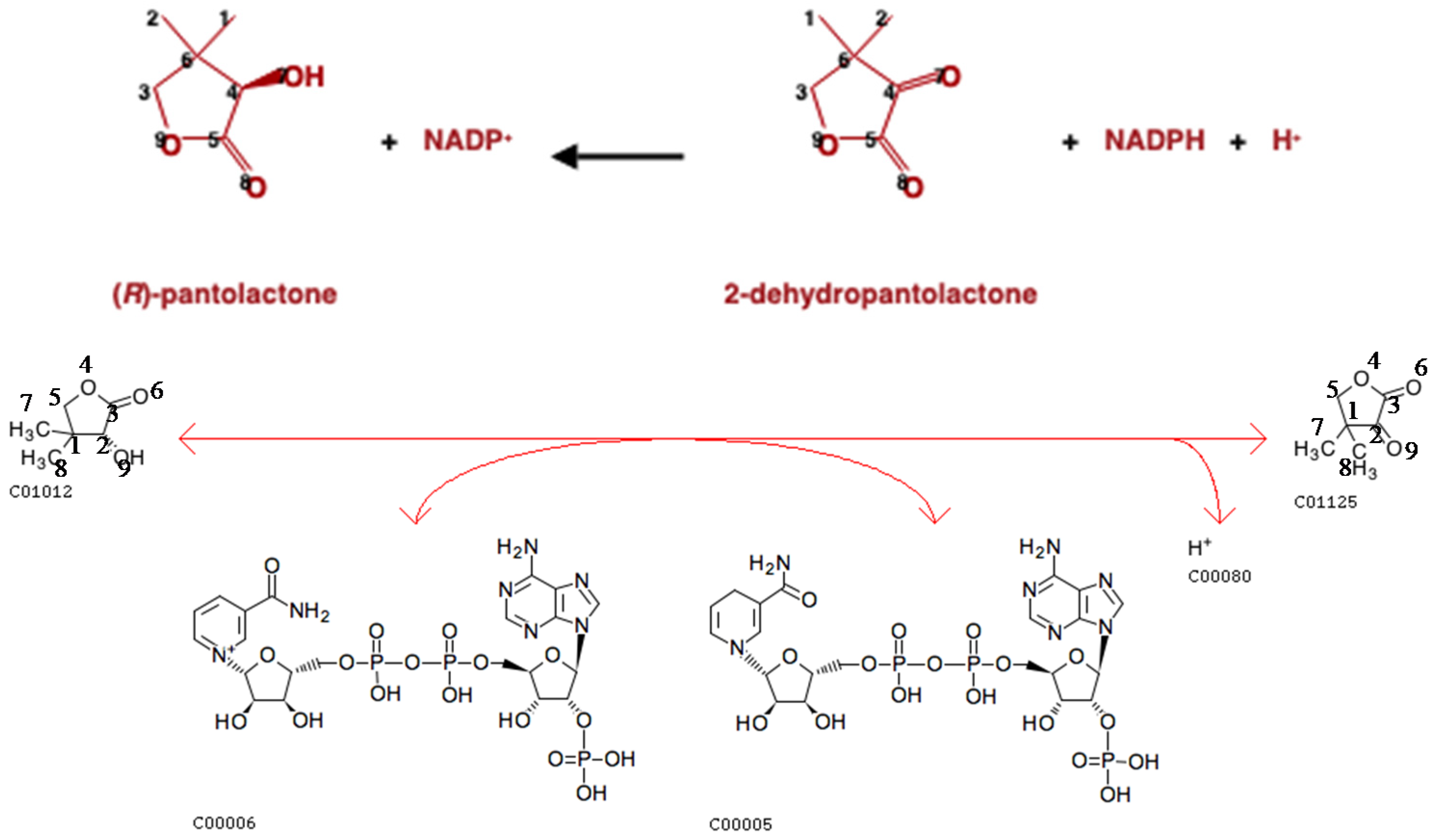 Metabolites 11 00431 g007 Metabolites 11 00431 g007