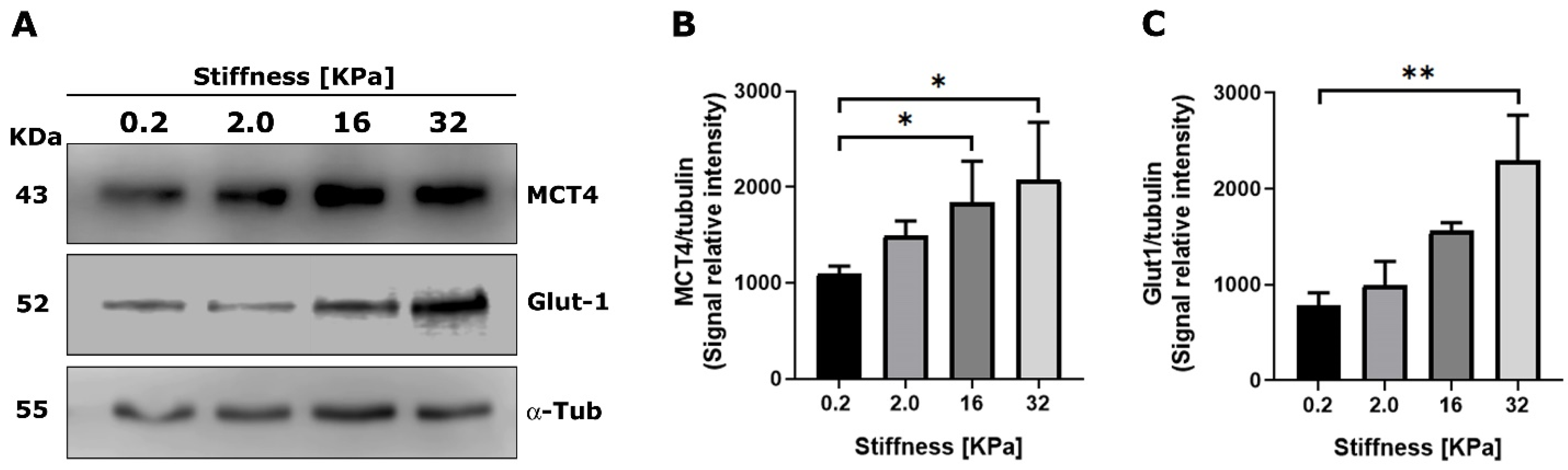 Metabolites 11 00432 g003 550