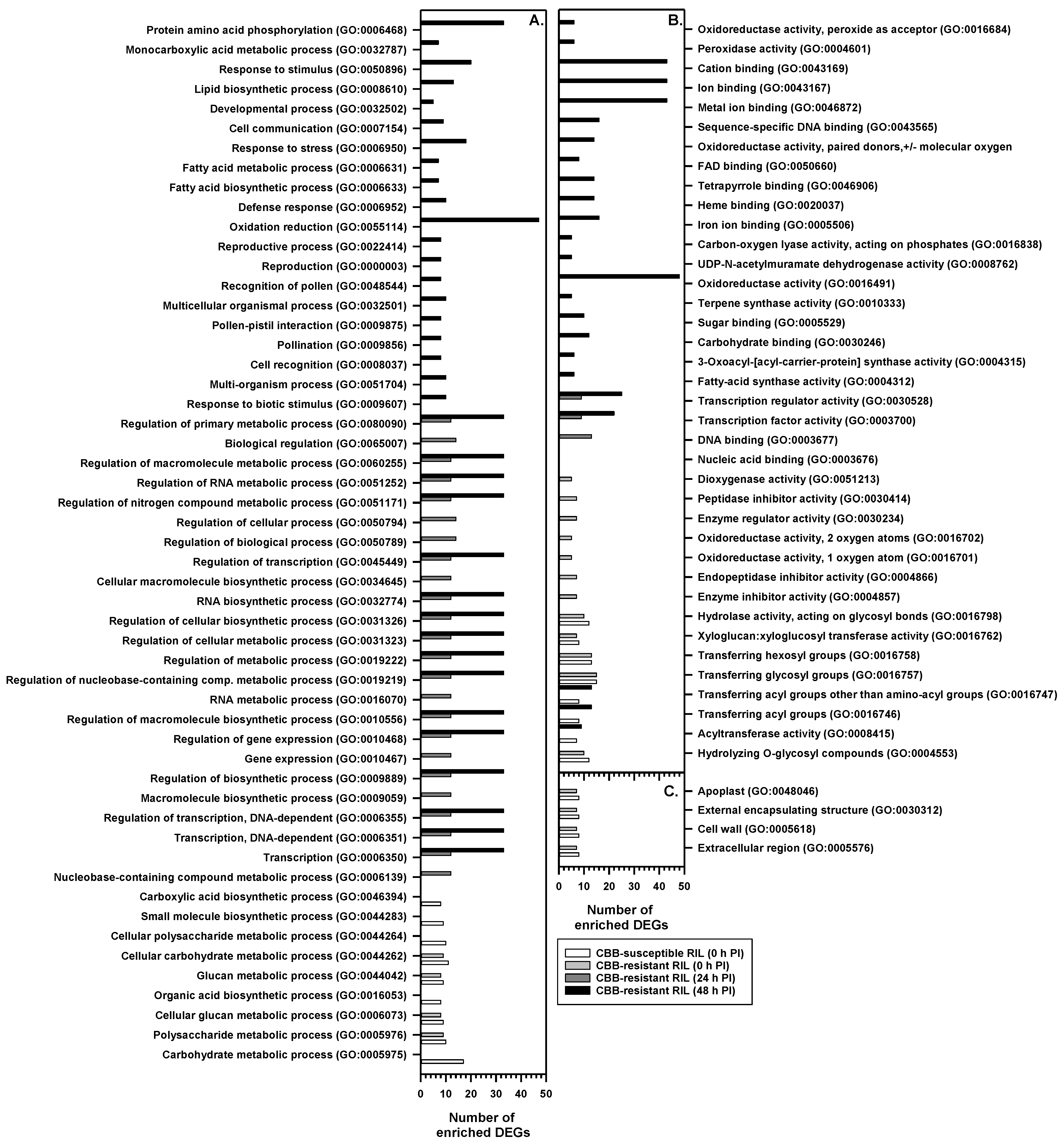 Metabolites 11 00433 g006