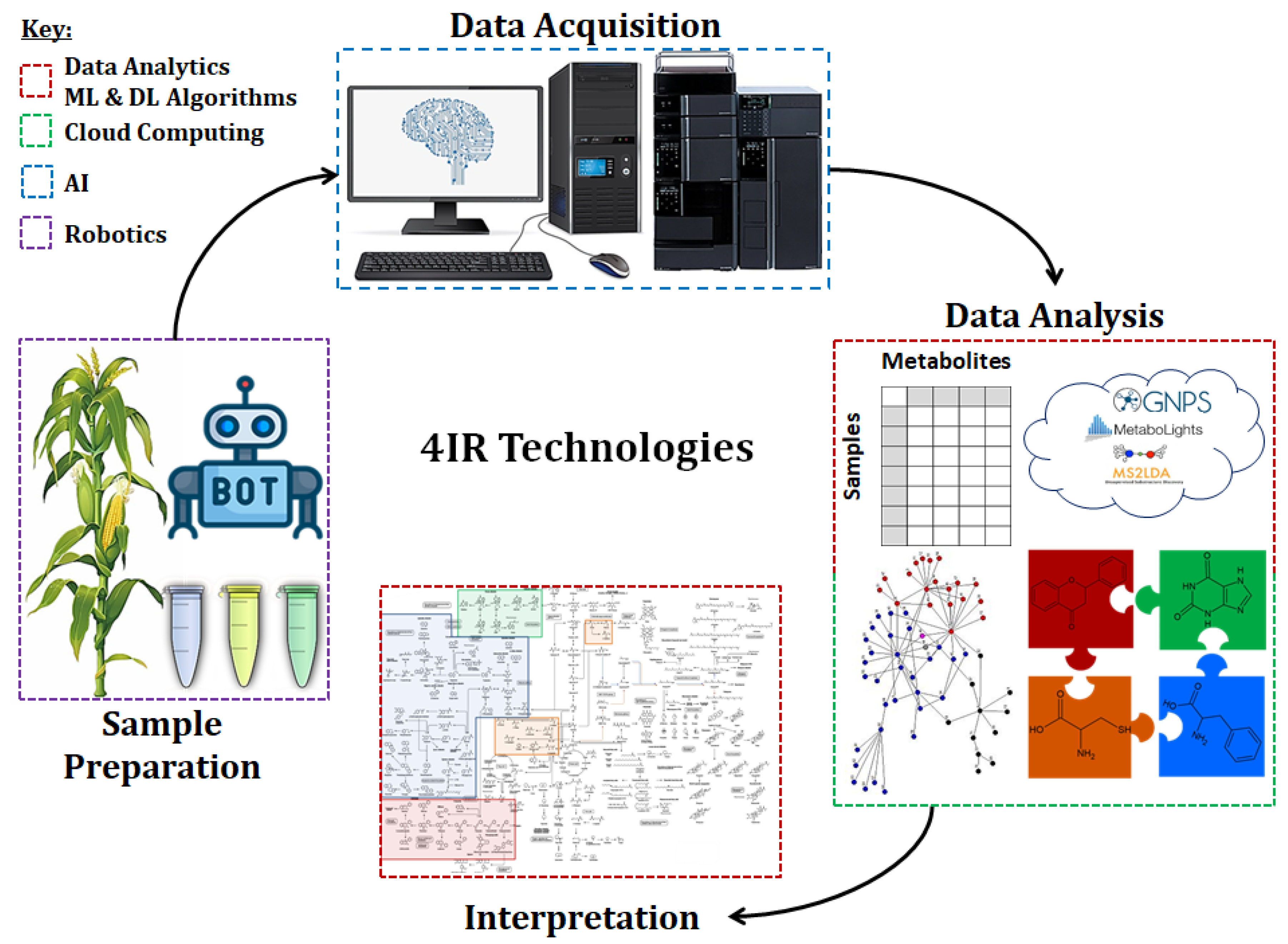 Metabolites 11 00445 g001