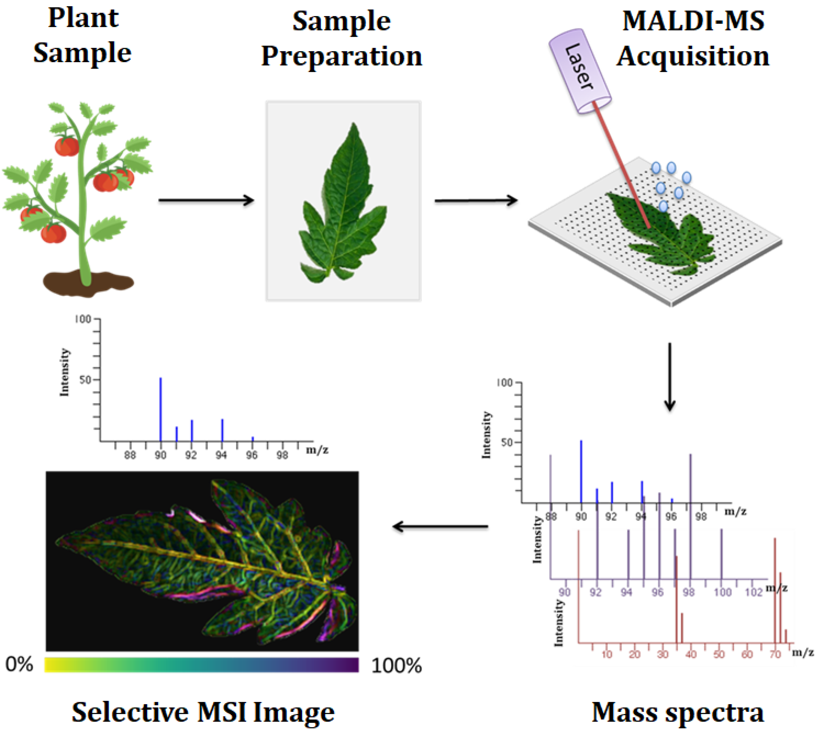 Metabolites 11 00445 g002