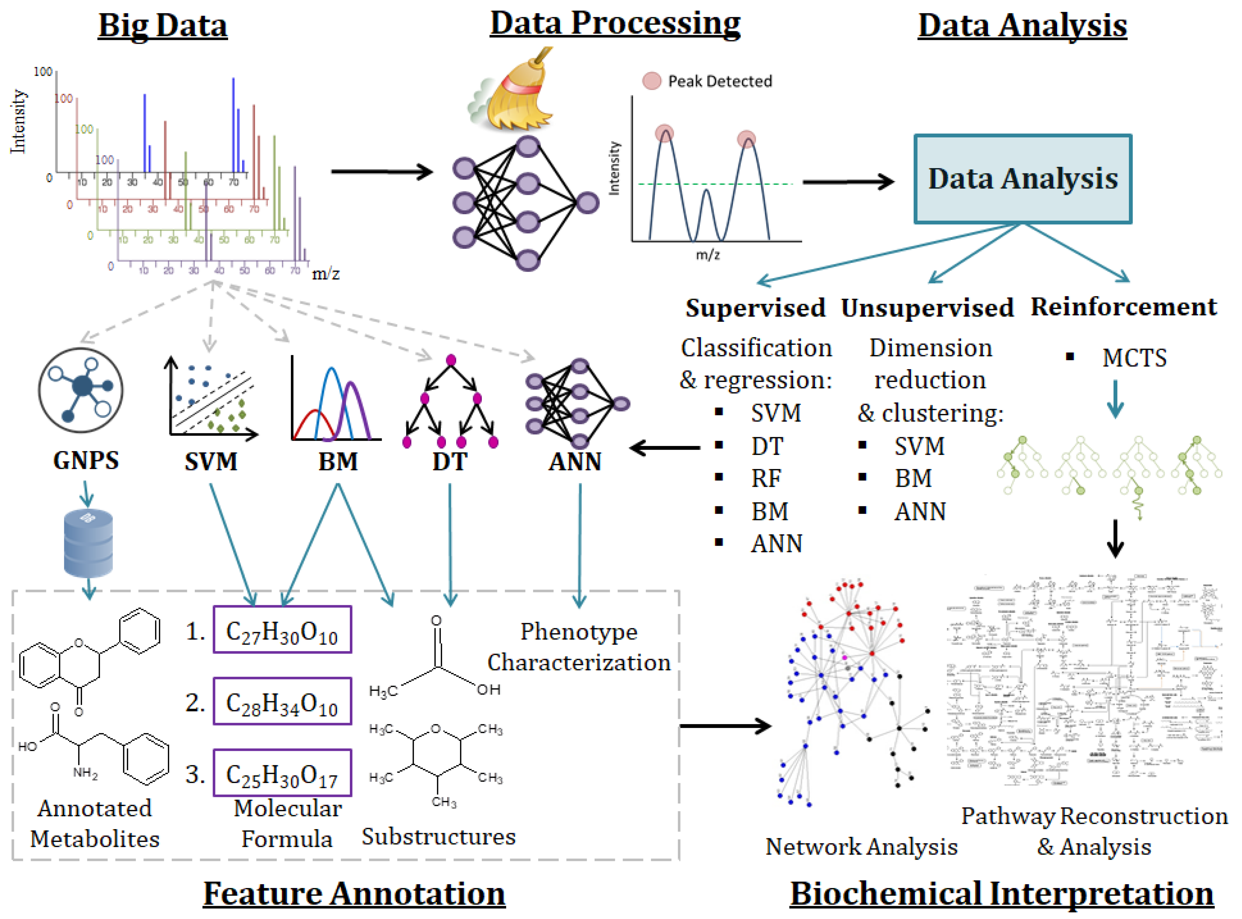 Metabolites 11 00445 g003