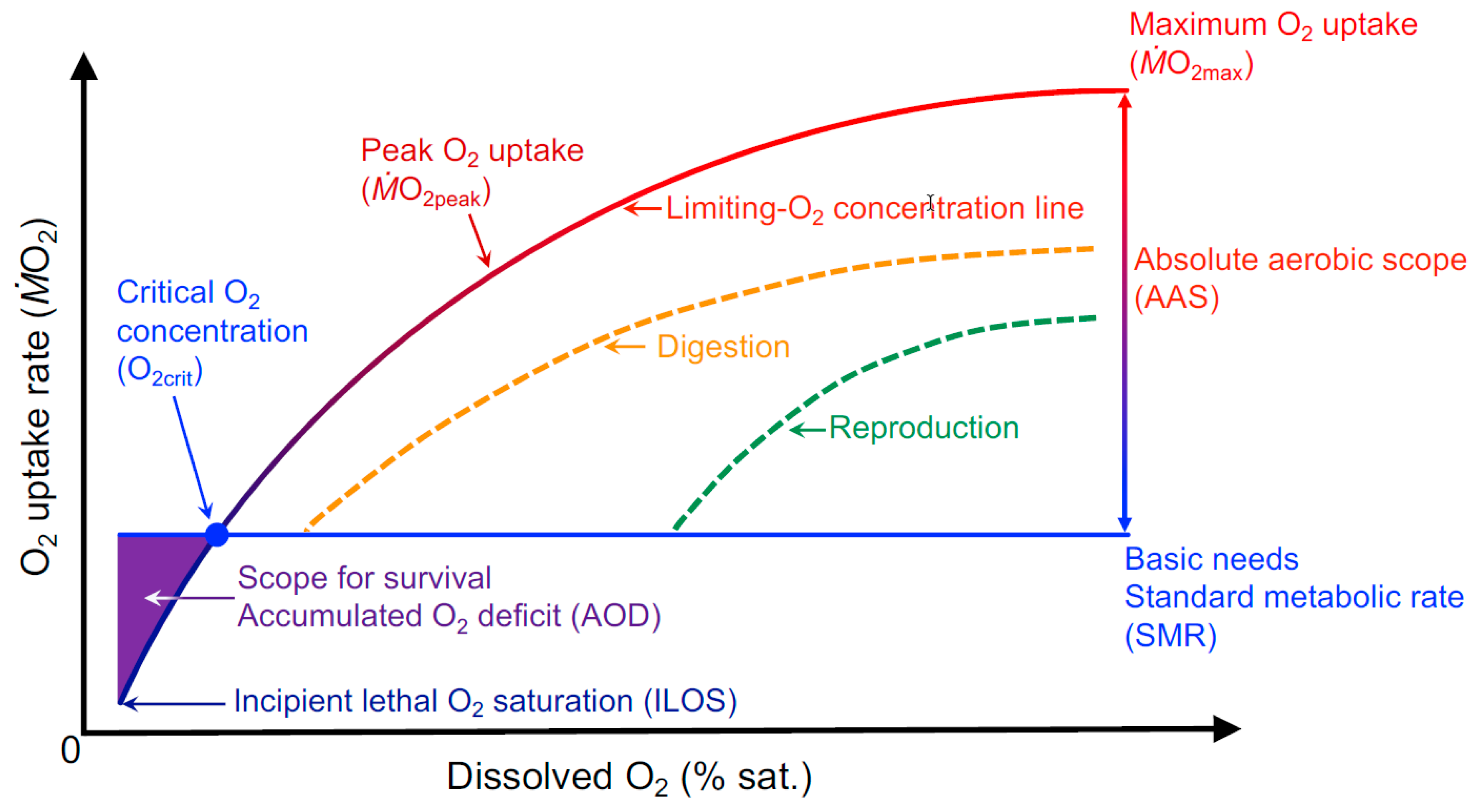 Metabolites 11 00447 g002 Metabolites 11 00447 g002