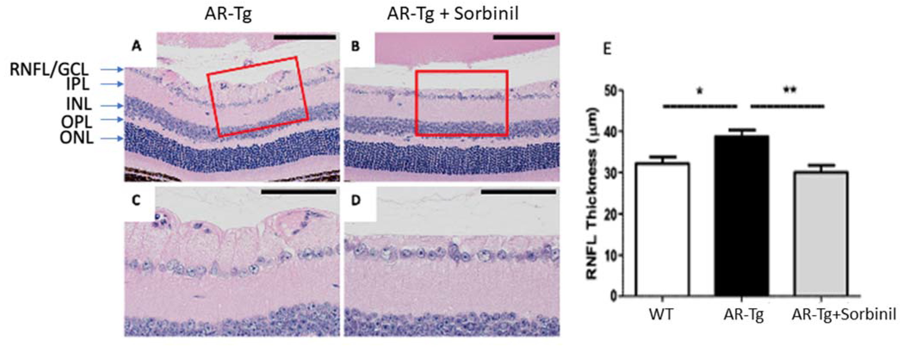 Metabolites 11 00450 g002