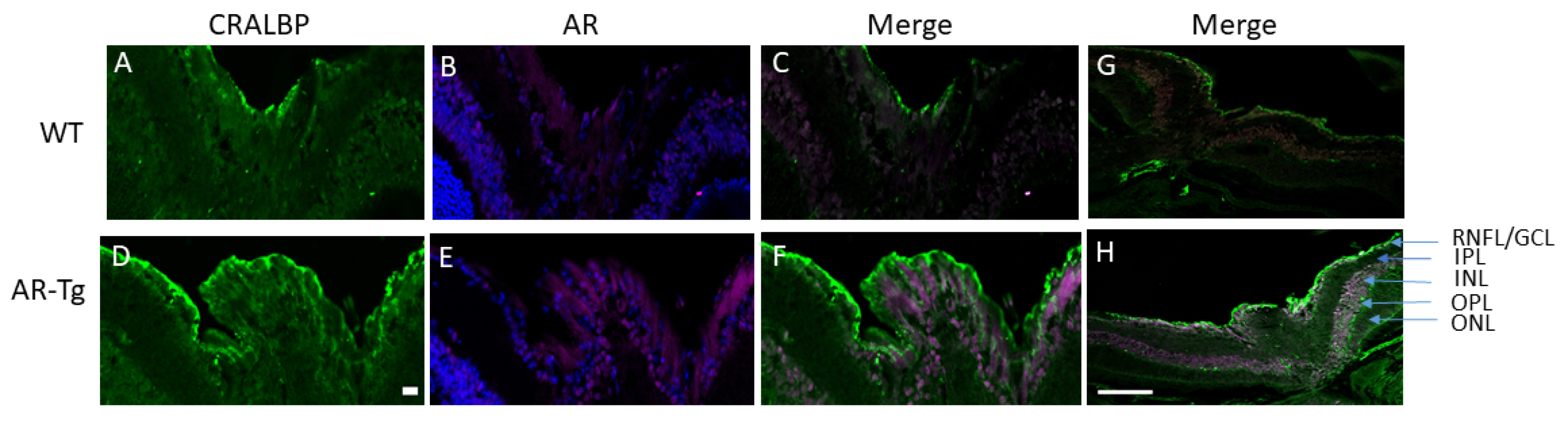 Metabolites 11 00450 g003