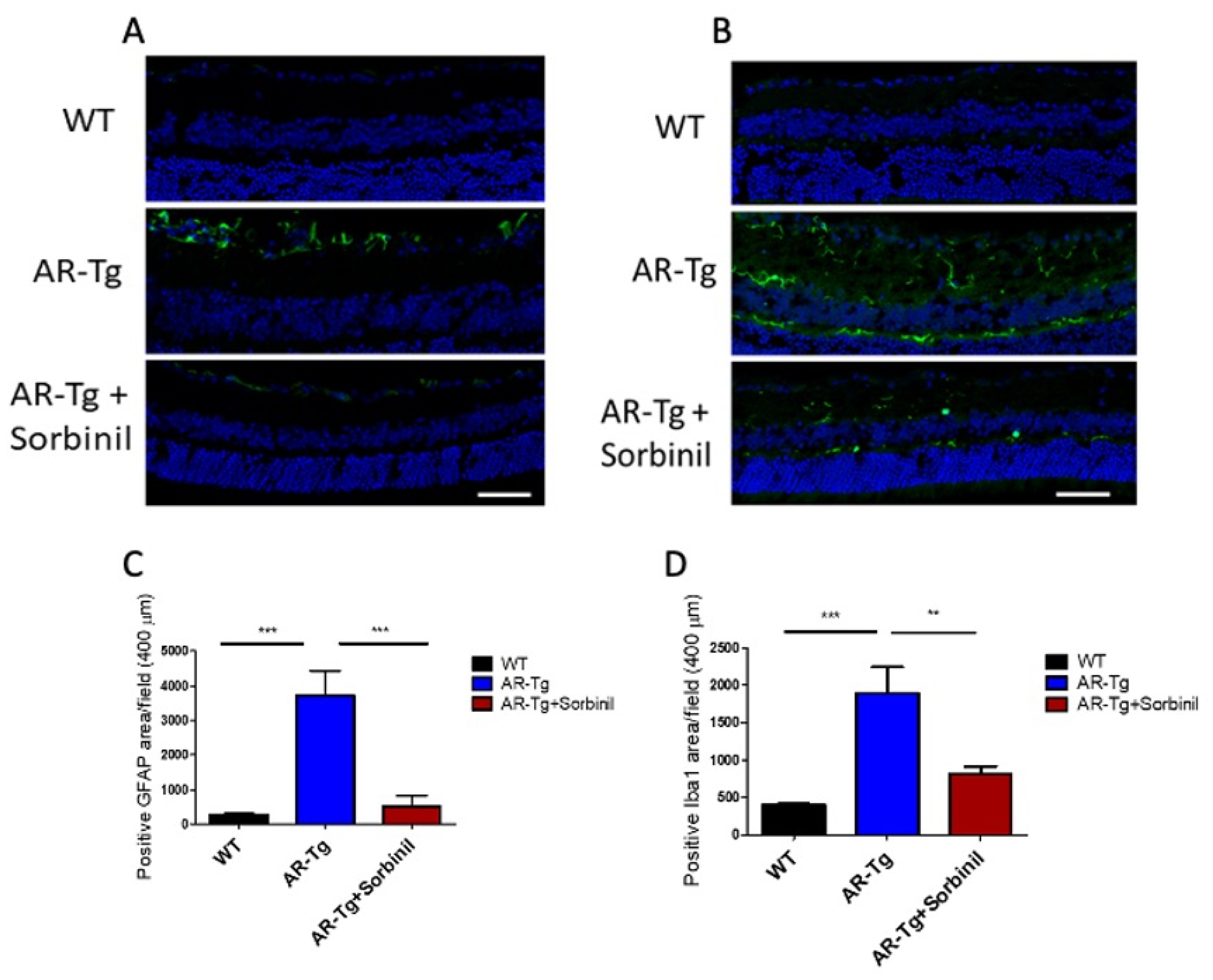 Metabolites 11 00450 g006