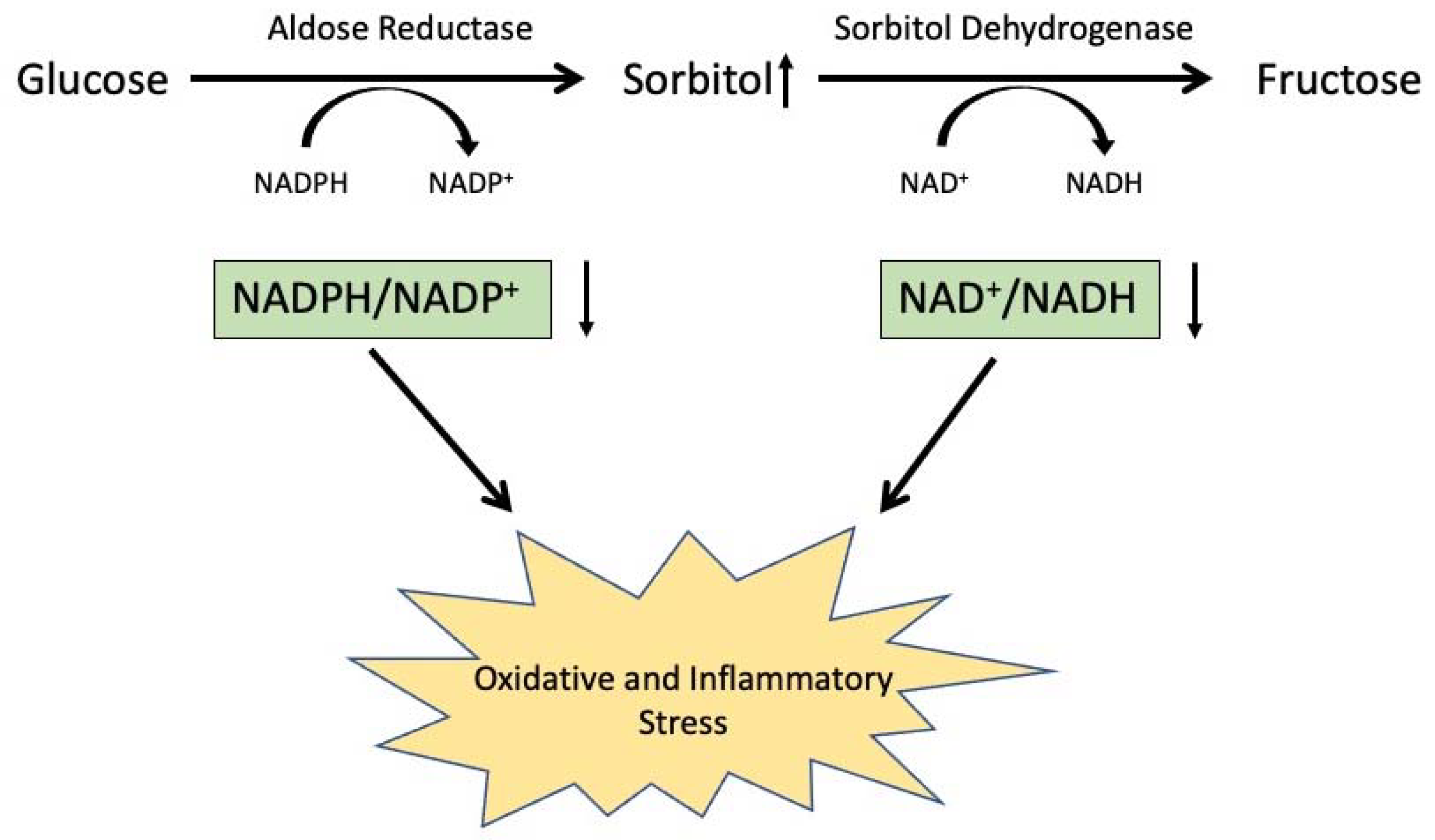 Metabolites 11 00450 g007