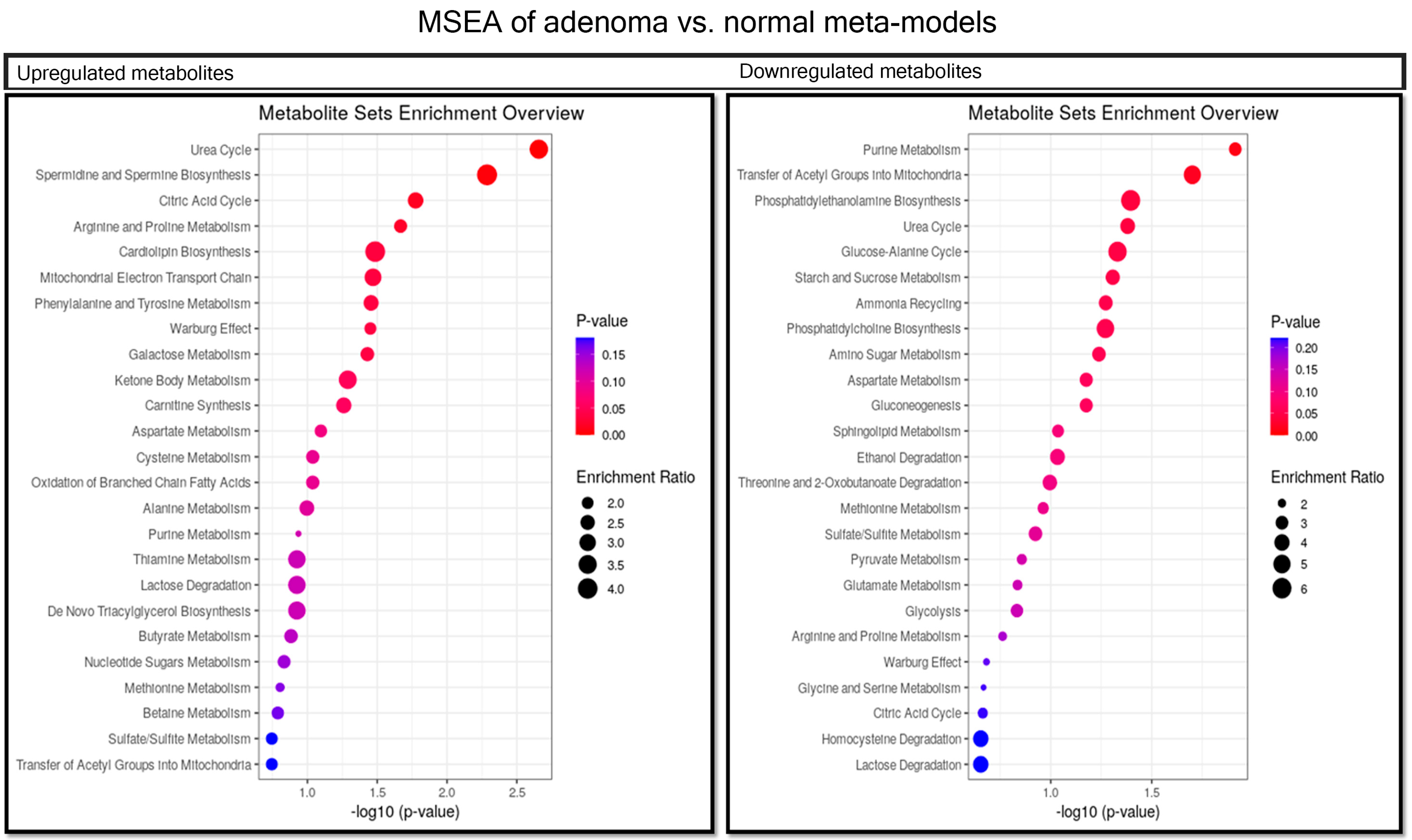 Metabolites 11 00456 g006
