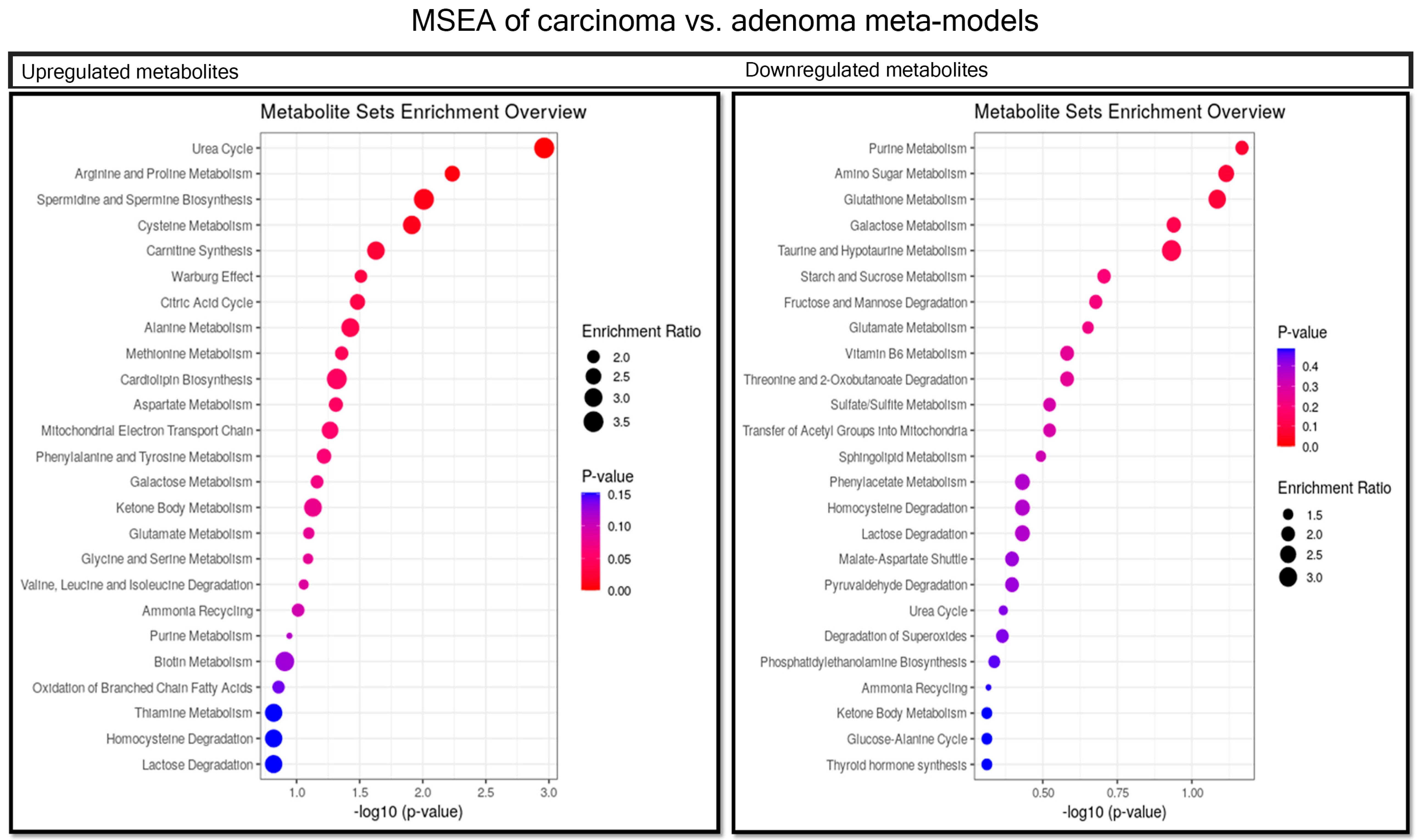 Metabolites 11 00456 g008