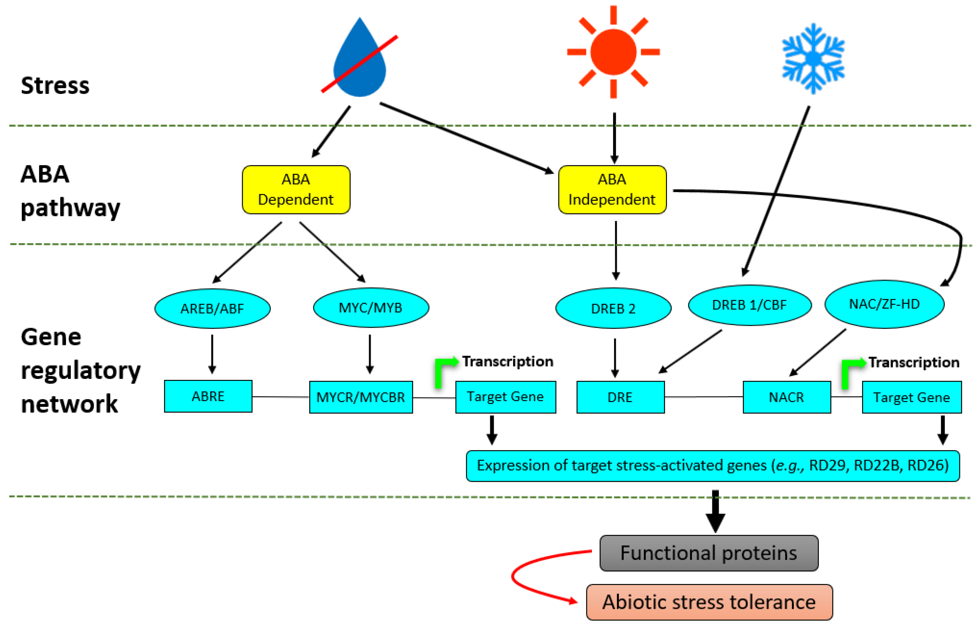 Metabolites 11 00457 g002