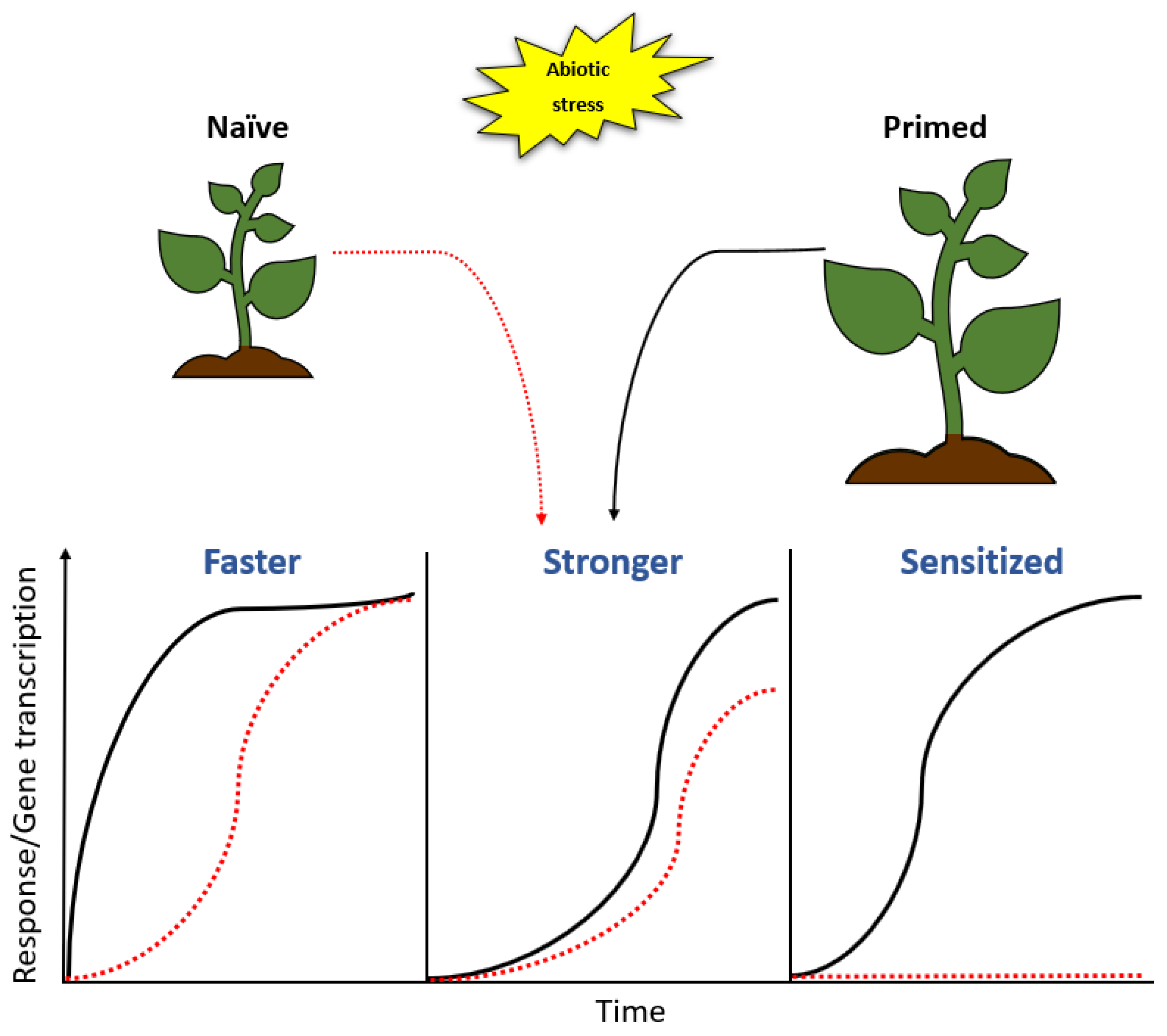 Metabolites 11 00457 g004