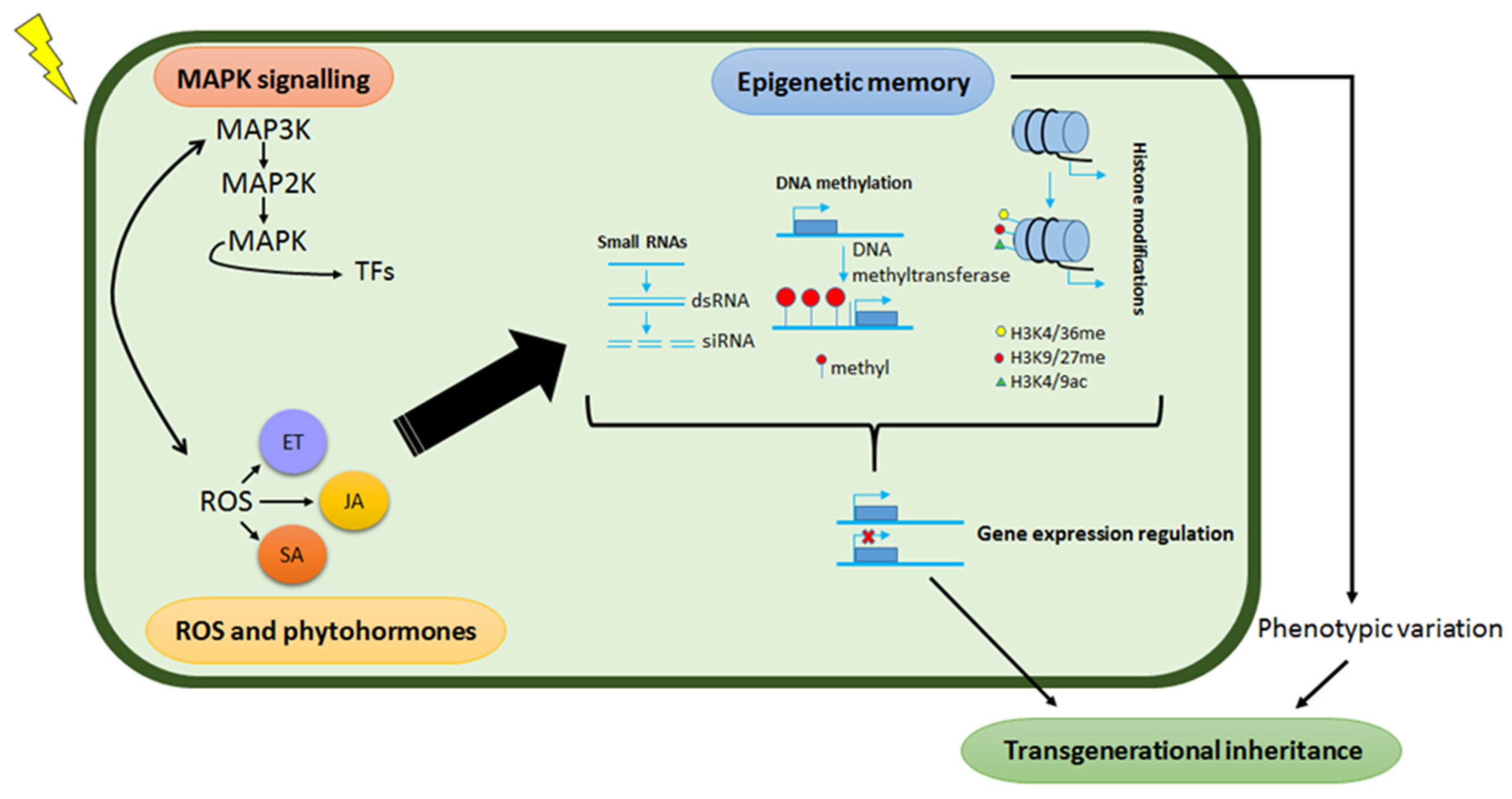 Metabolites 11 00457 g005