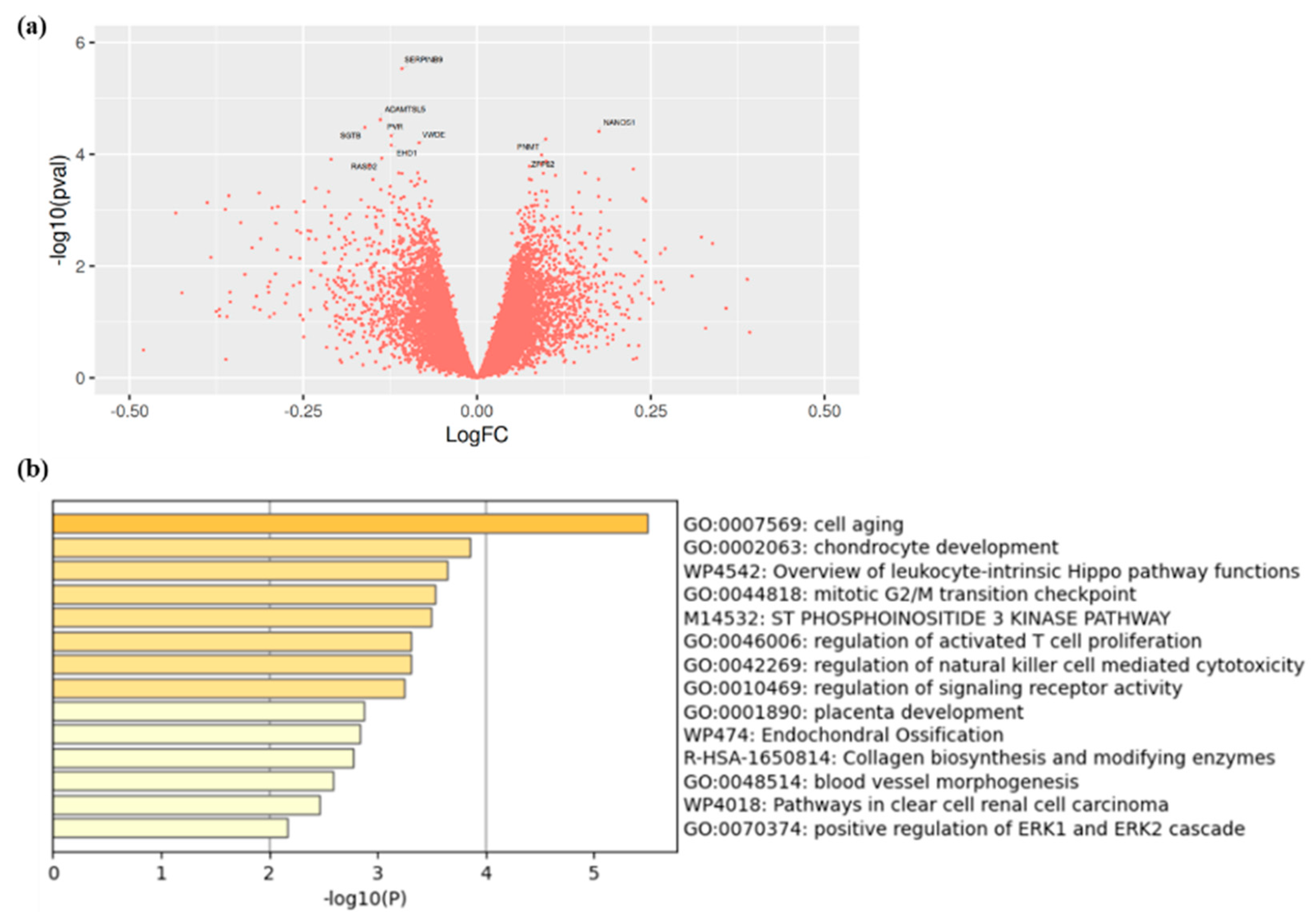 Metabolites 11 00459 g002 550