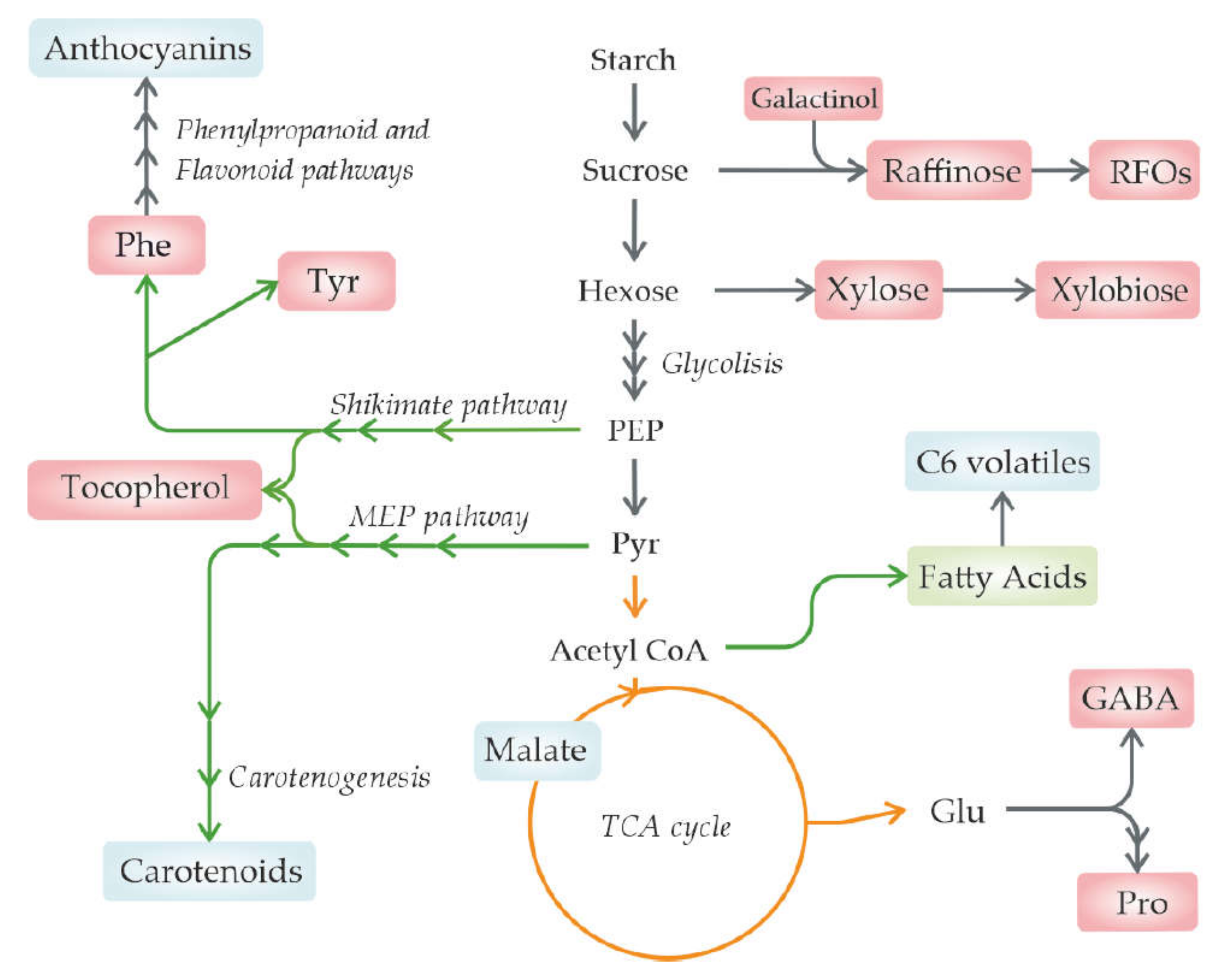 Metabolites 11 00461 g001